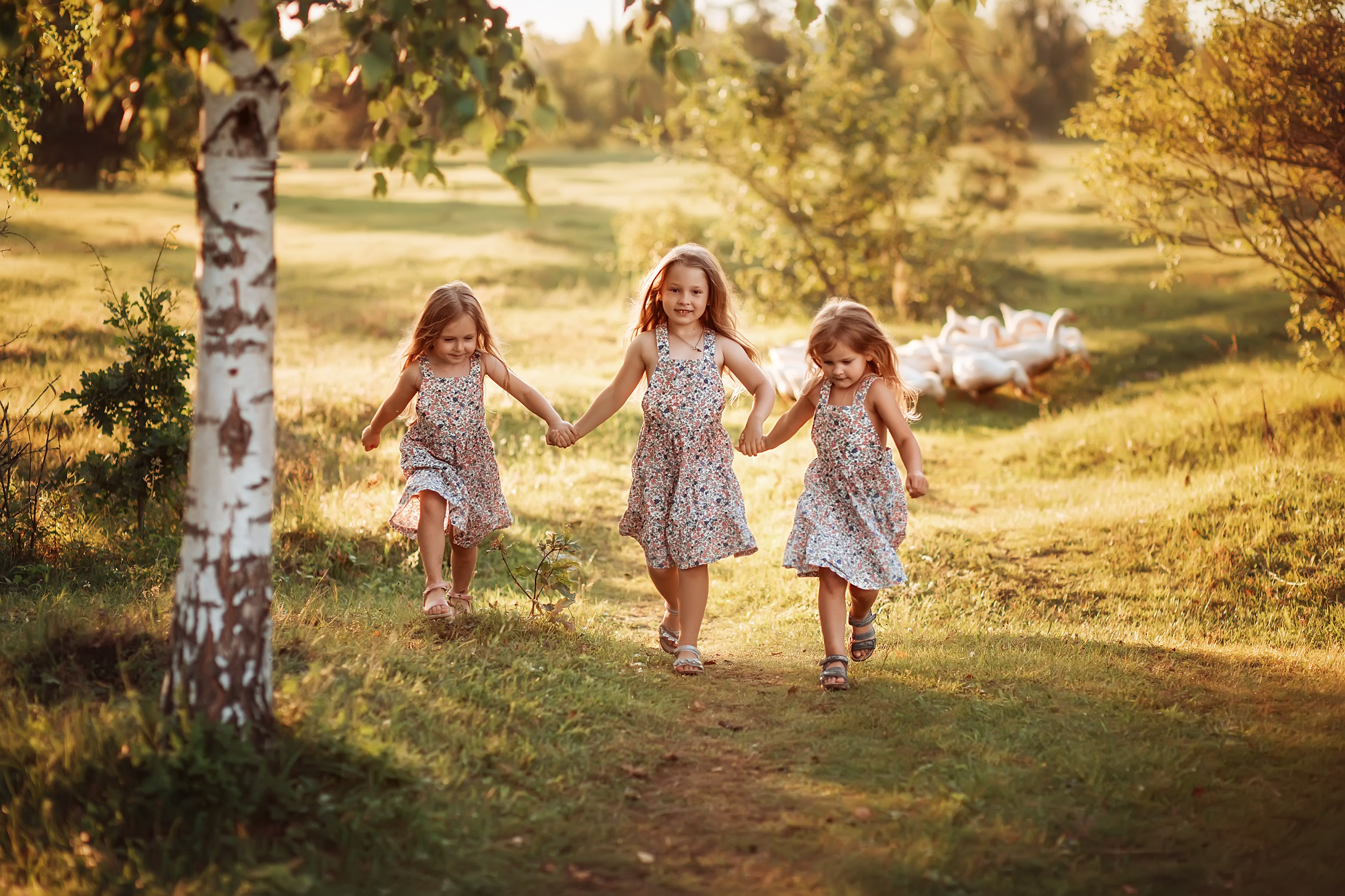 Дети и Гуси. Фотохудожник в Брянске Додонова Ольга