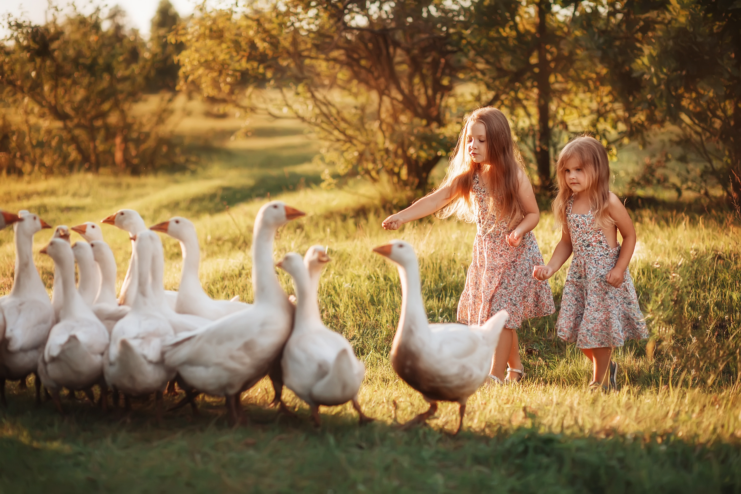 Дети и Гуси. Фотохудожник в Брянске Додонова Ольга