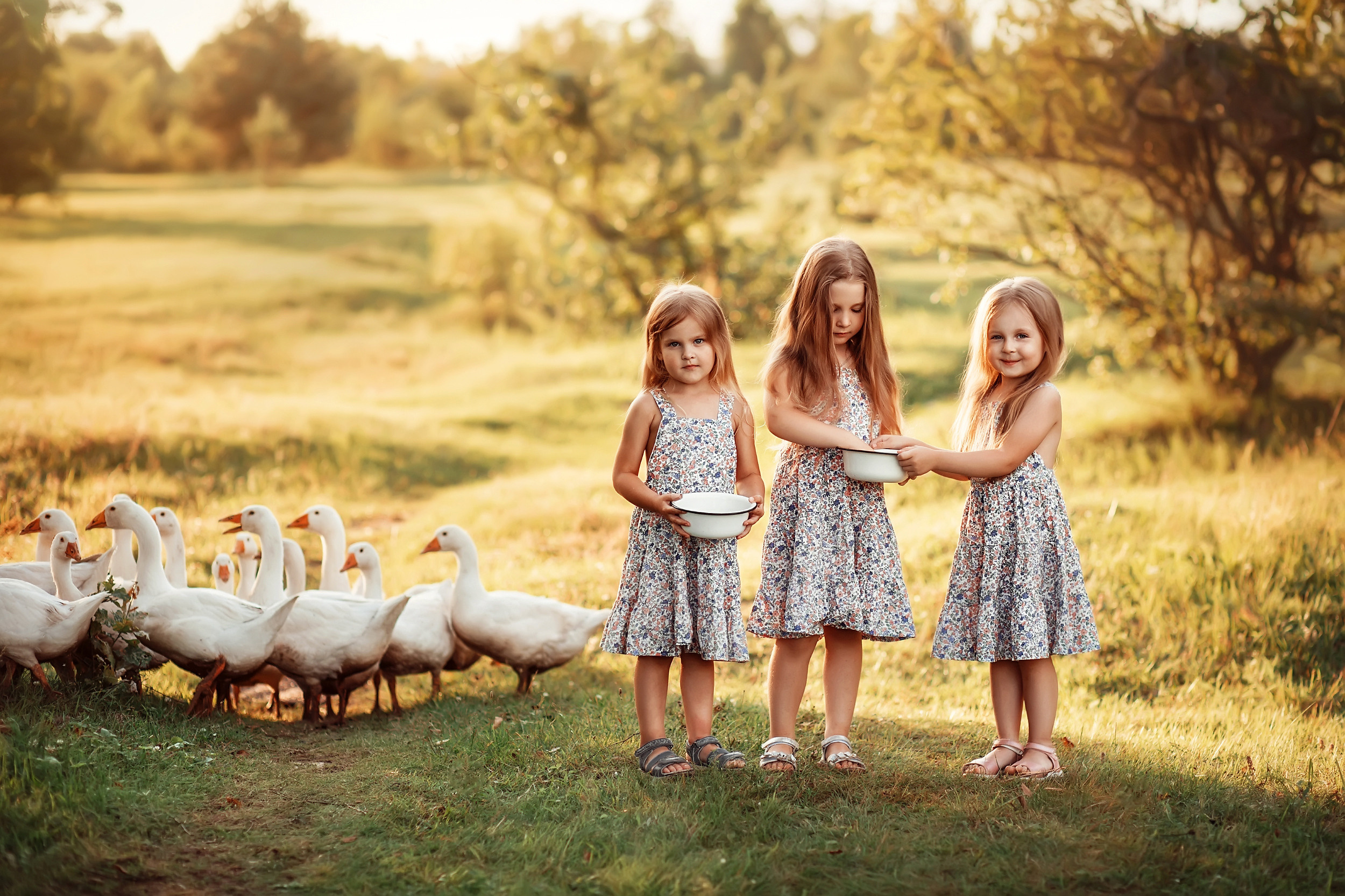 Дети и Гуси. Фотохудожник в Брянске Додонова Ольга