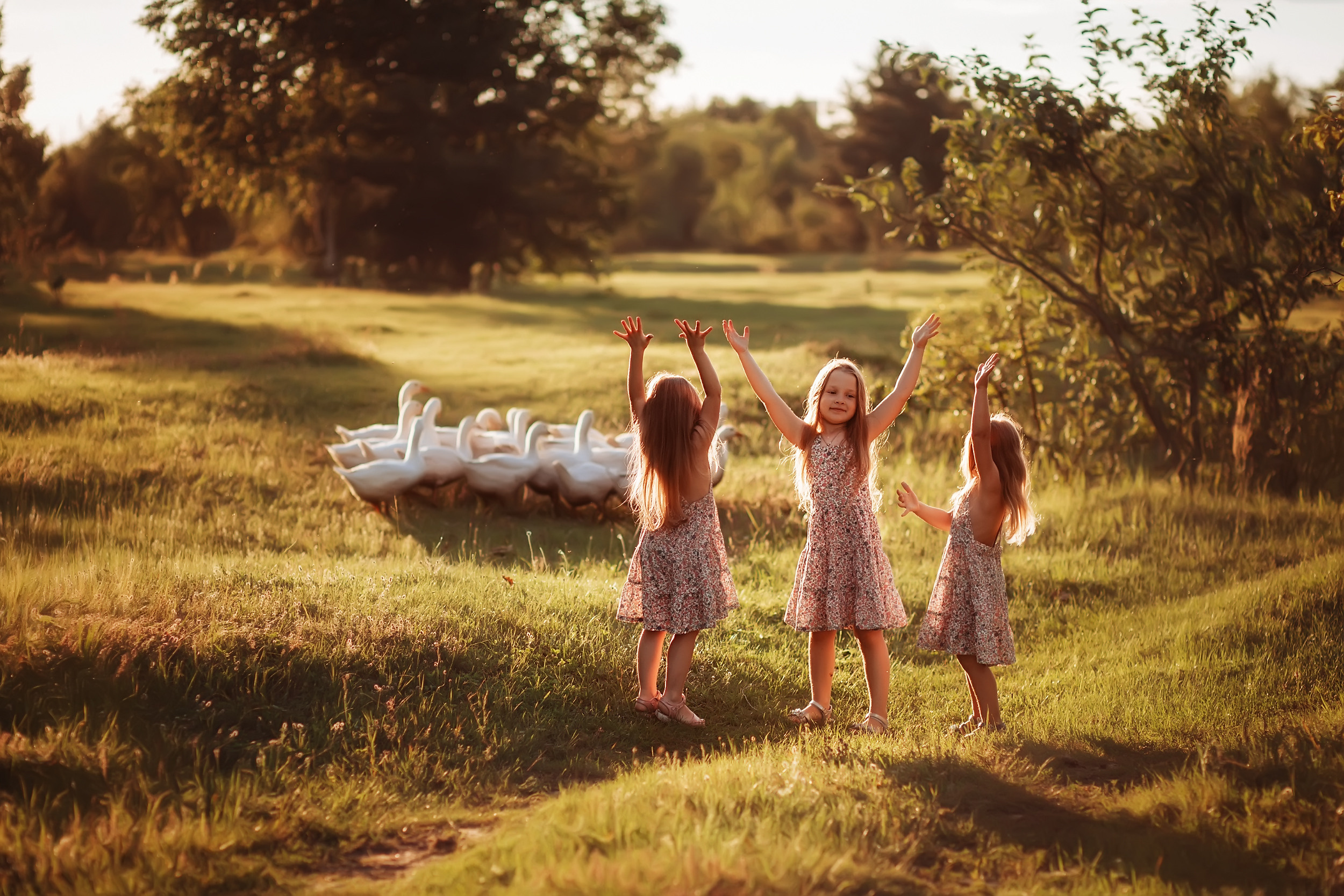 Дети и Гуси. Фотохудожник в Брянске Додонова Ольга