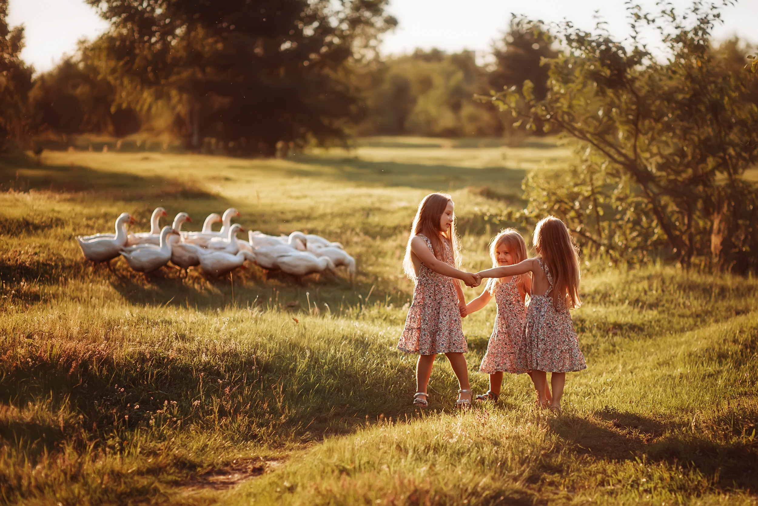 Дети и Гуси. Фотохудожник в Брянске Додонова Ольга