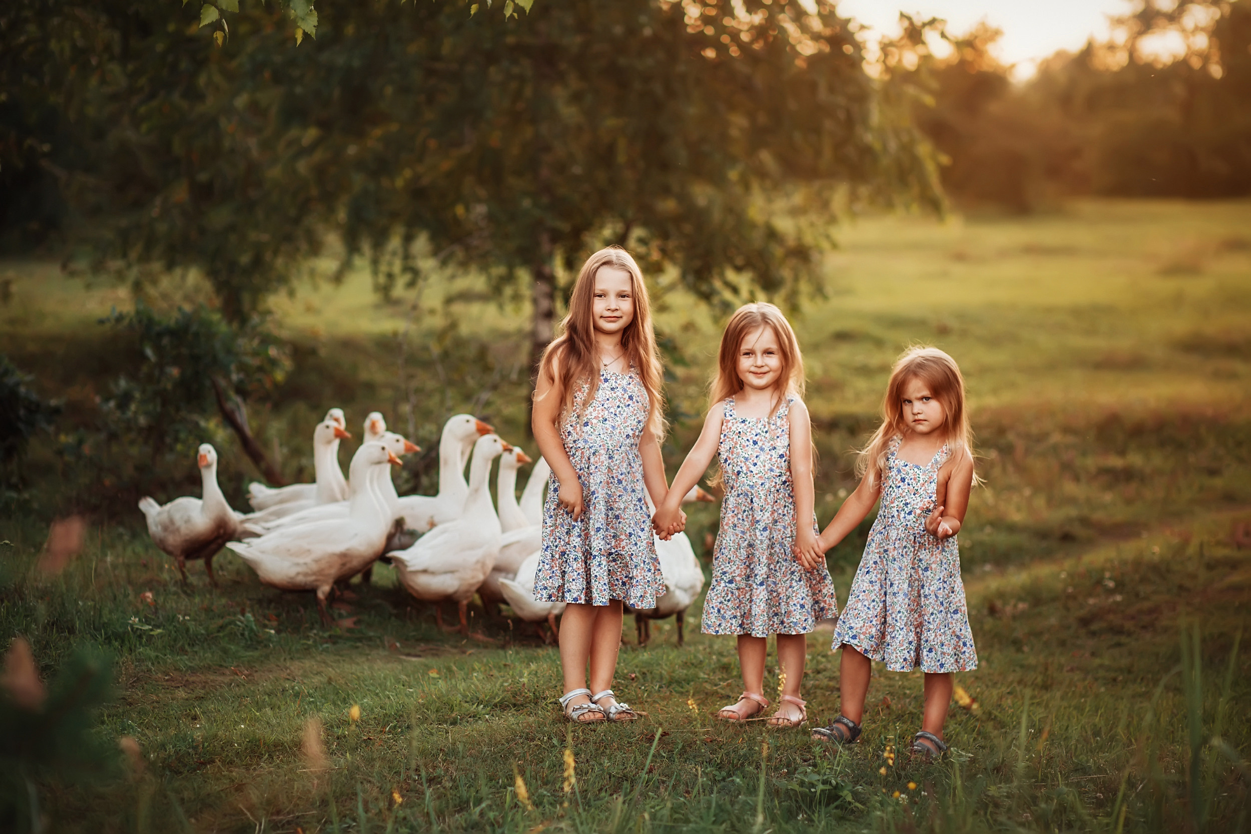 Дети и Гуси. Фотохудожник в Брянске Додонова Ольга