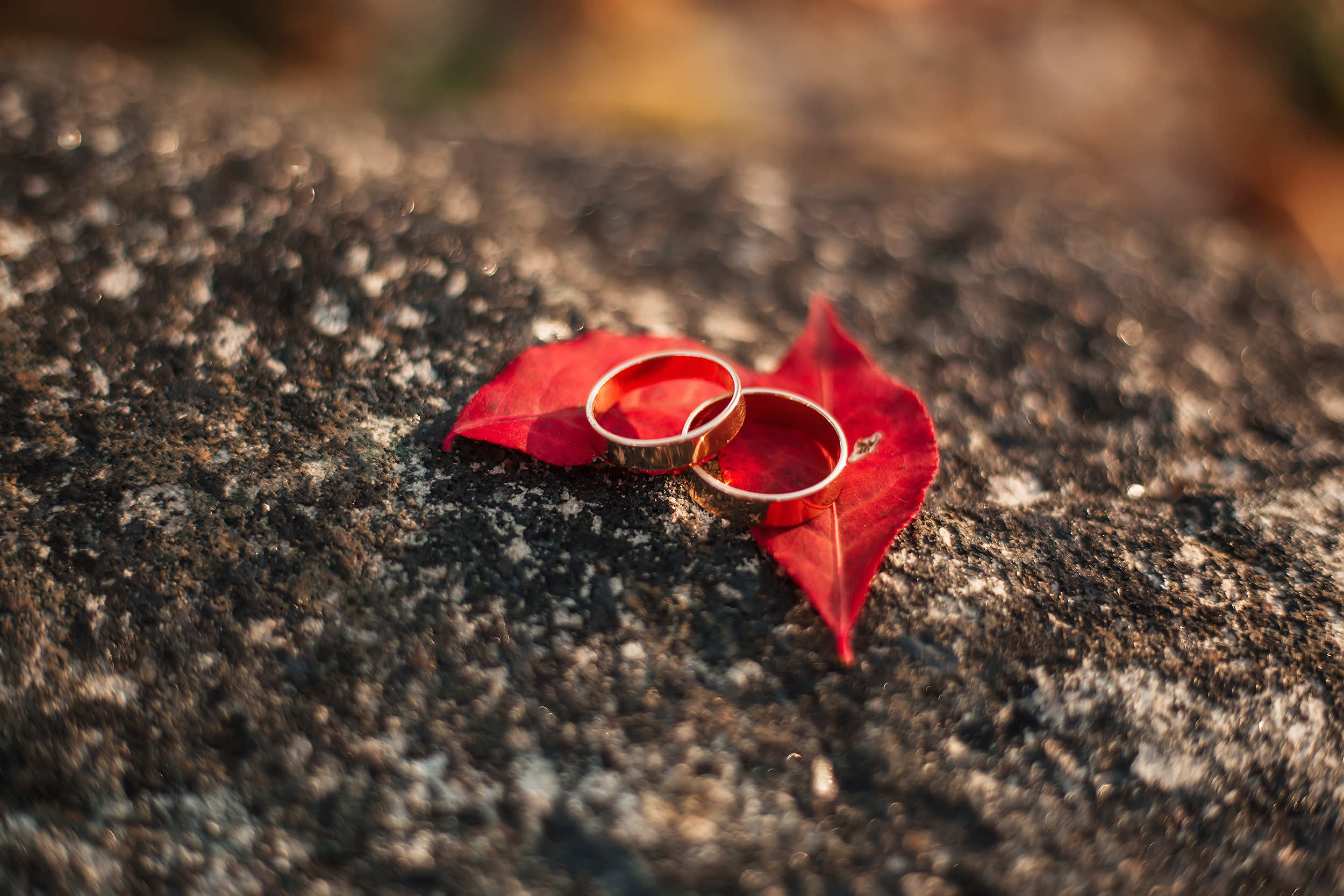 MillWood. Фотохудожник в Брянске Додонова Ольга