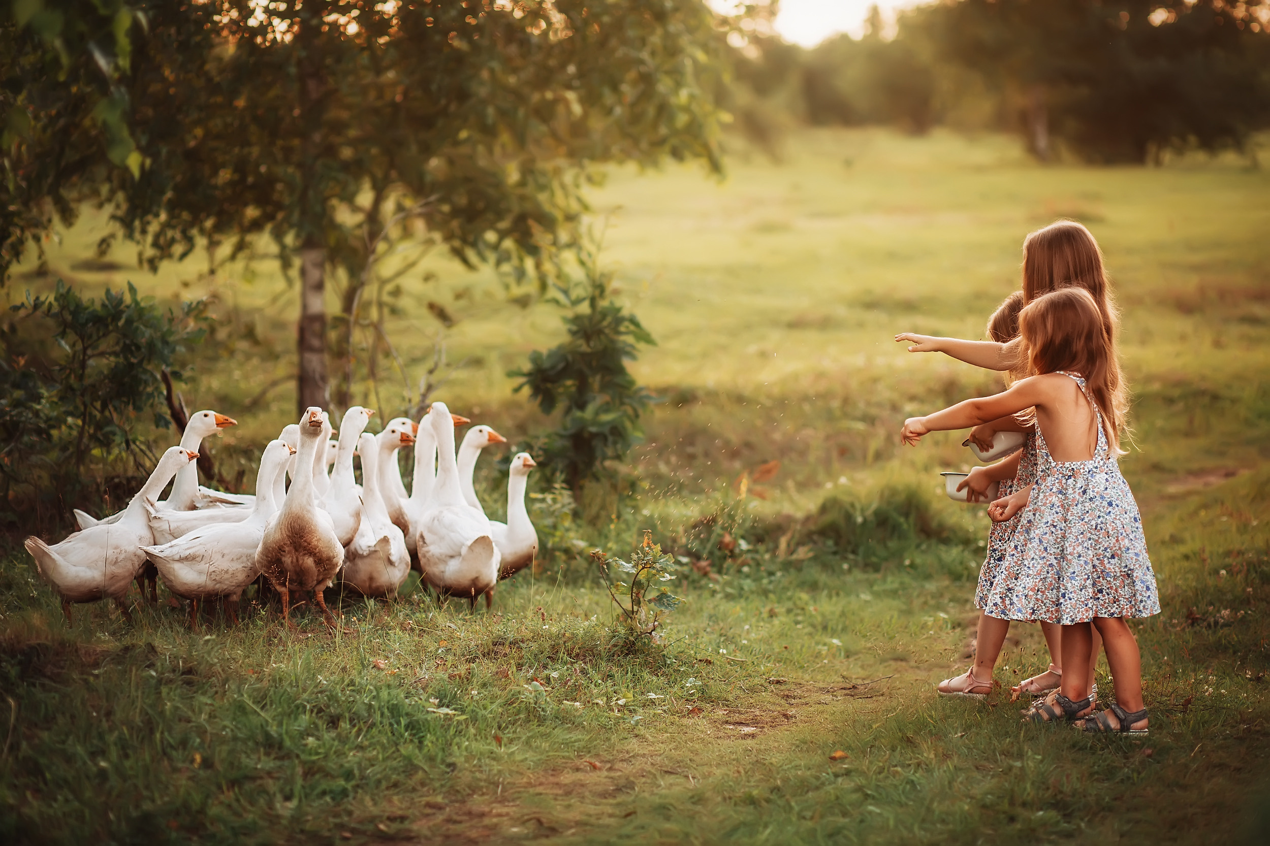 Дети и Гуси. Фотохудожник в Брянске Додонова Ольга