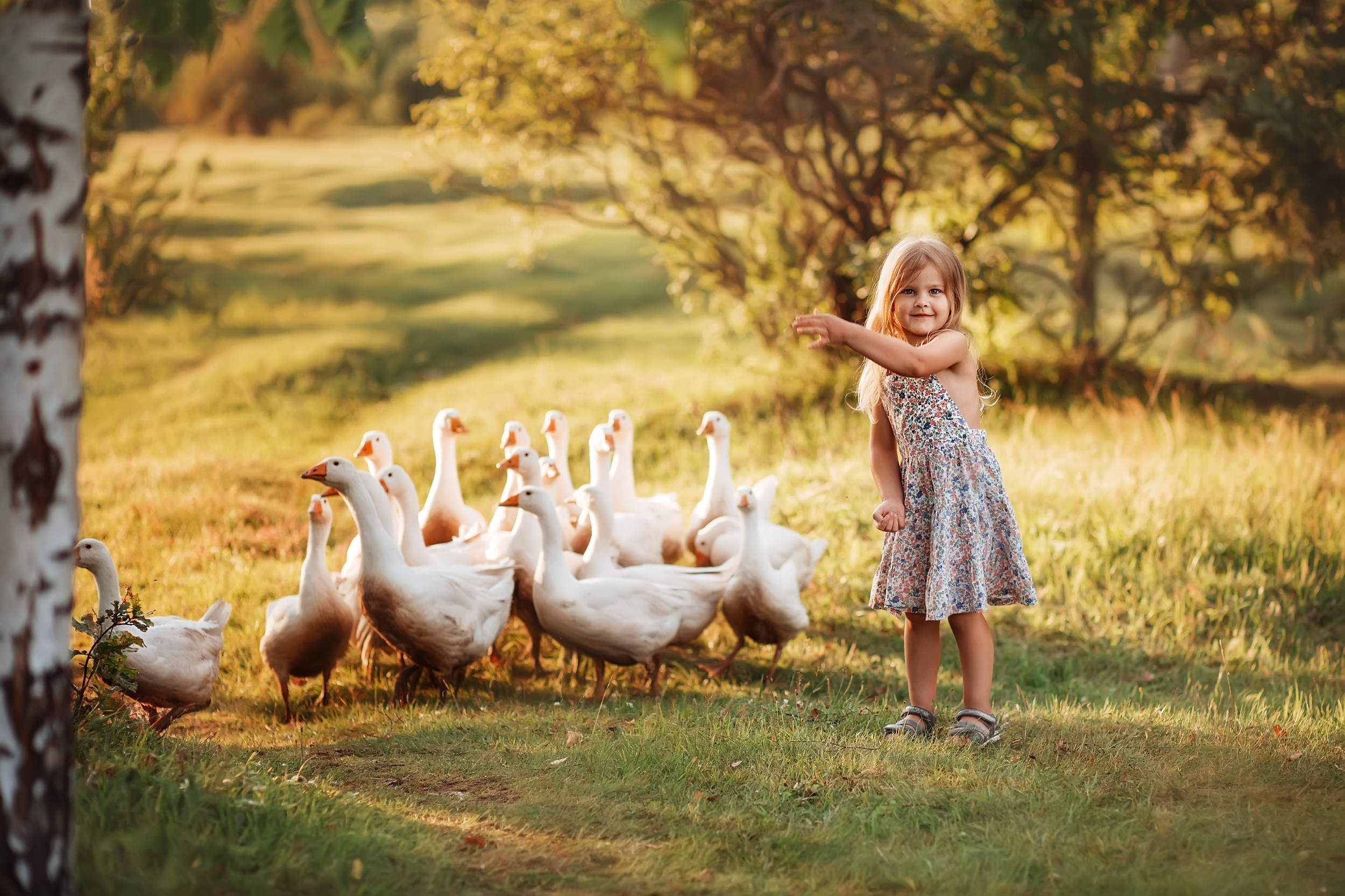 Дети и Гуси. Фотохудожник в Брянске Додонова Ольга