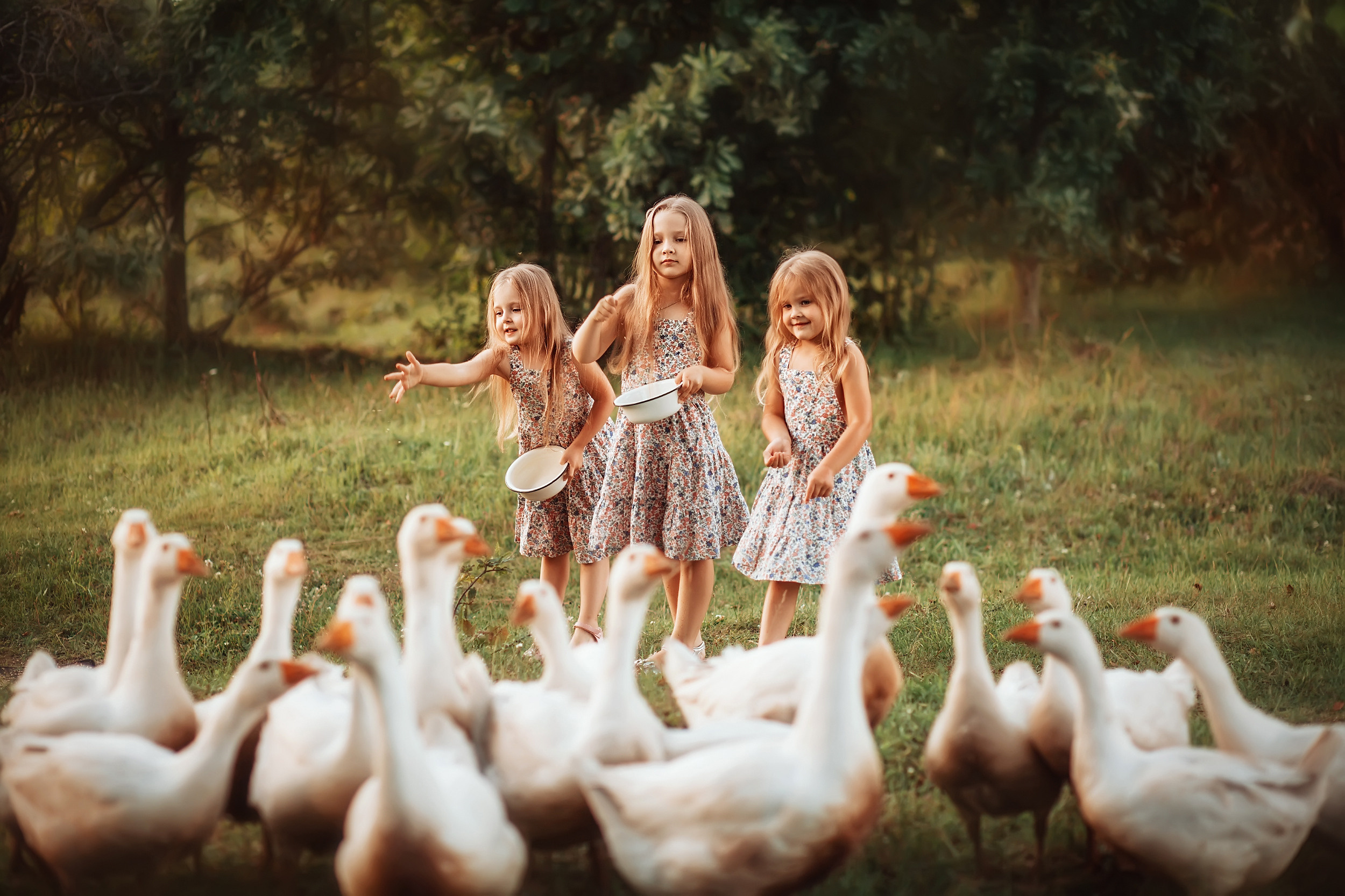 Дети и Гуси. Фотохудожник в Брянске Додонова Ольга
