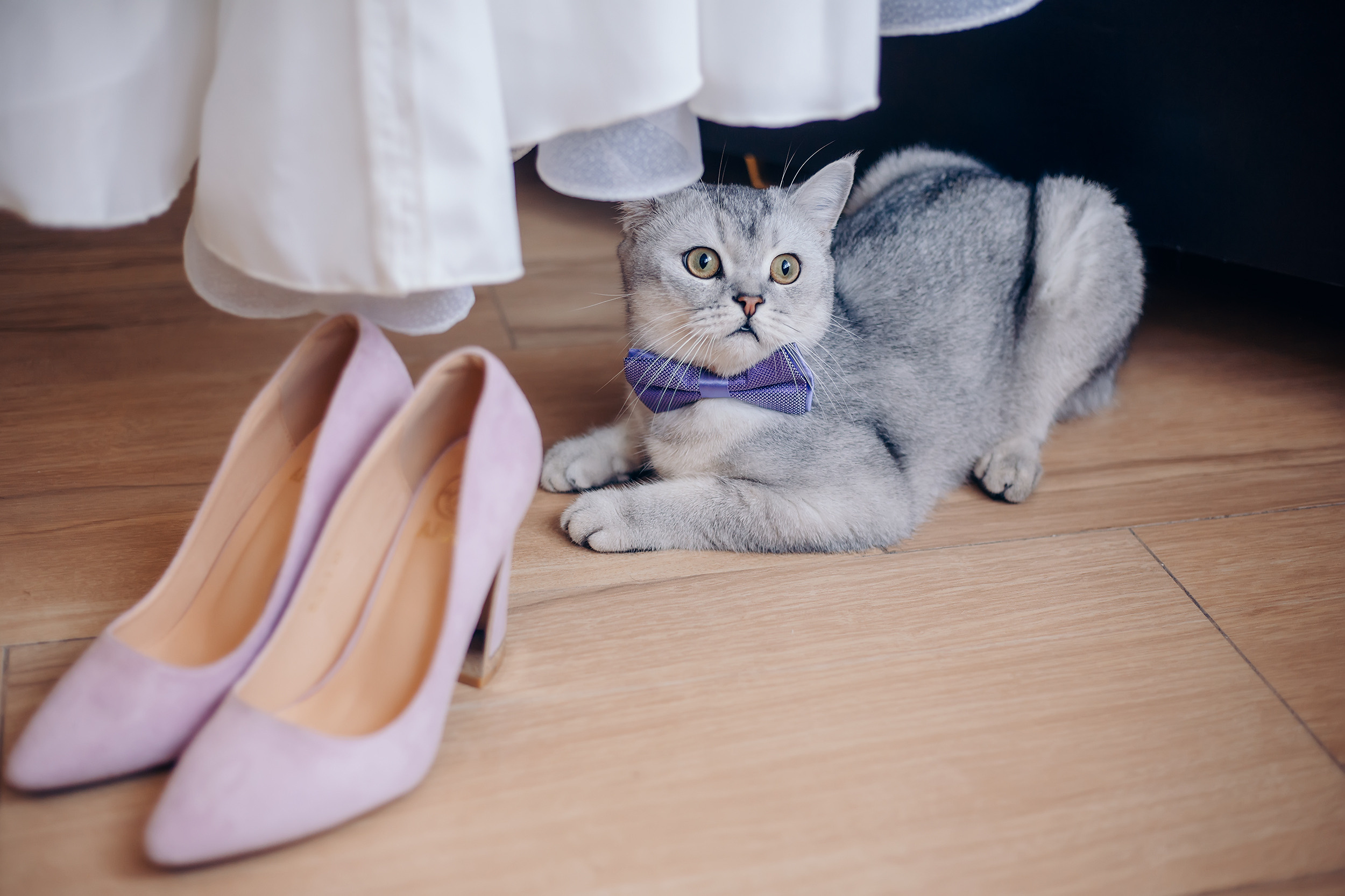 Татьяна и Александр. Фотохудожник в Брянске Додонова Ольга