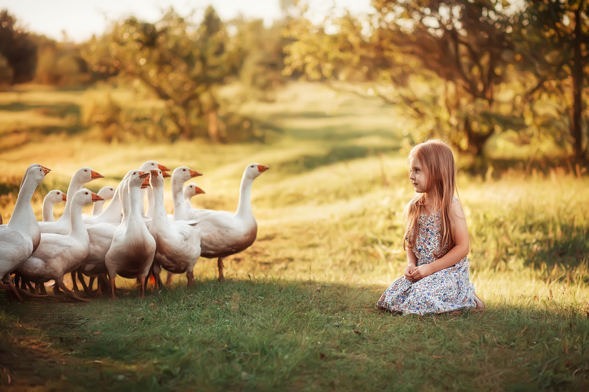 Дети и Гуси. Фотохудожник в Брянске Додонова Ольга