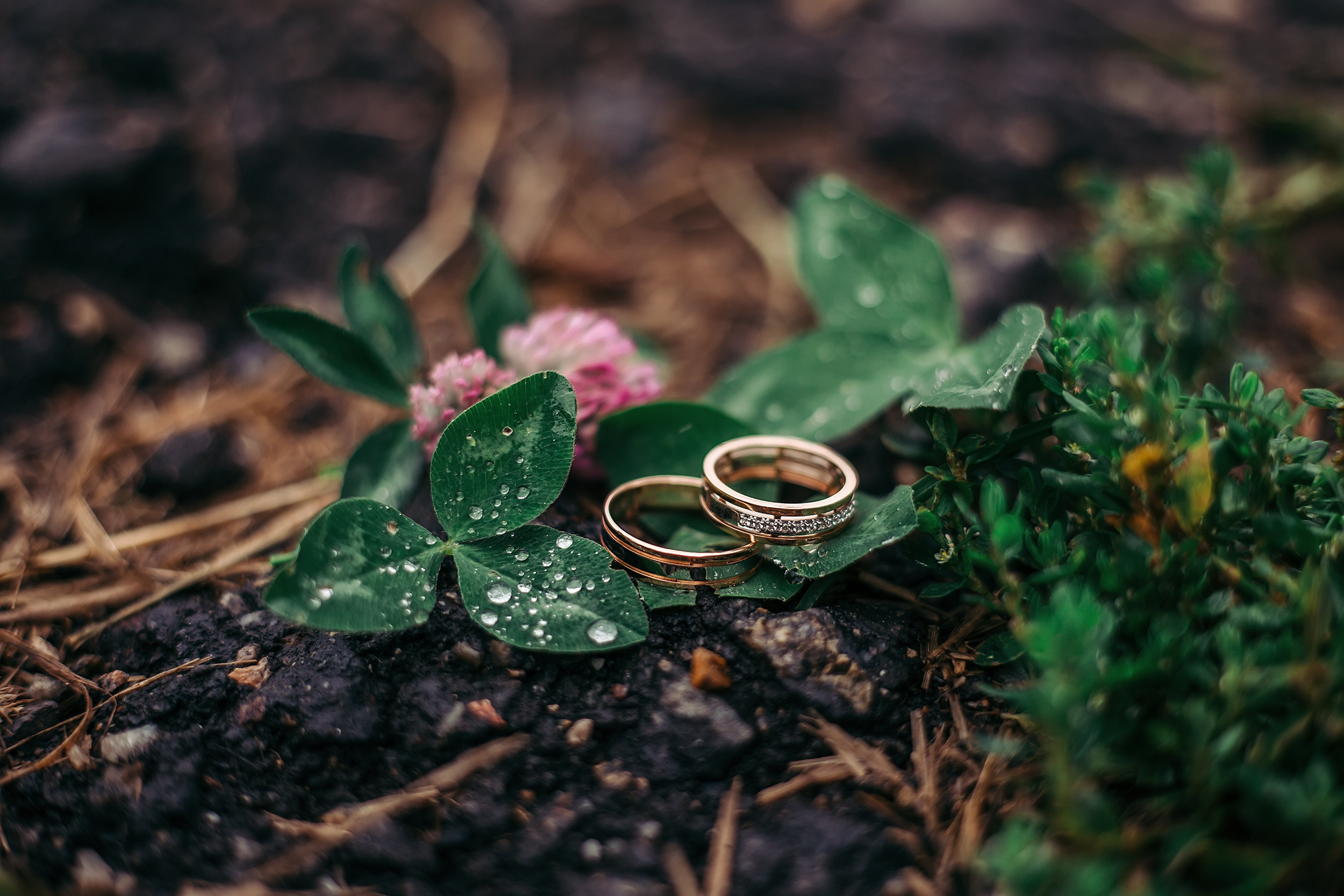 Павел и Наталья. Фотохудожник в Брянске Додонова Ольга