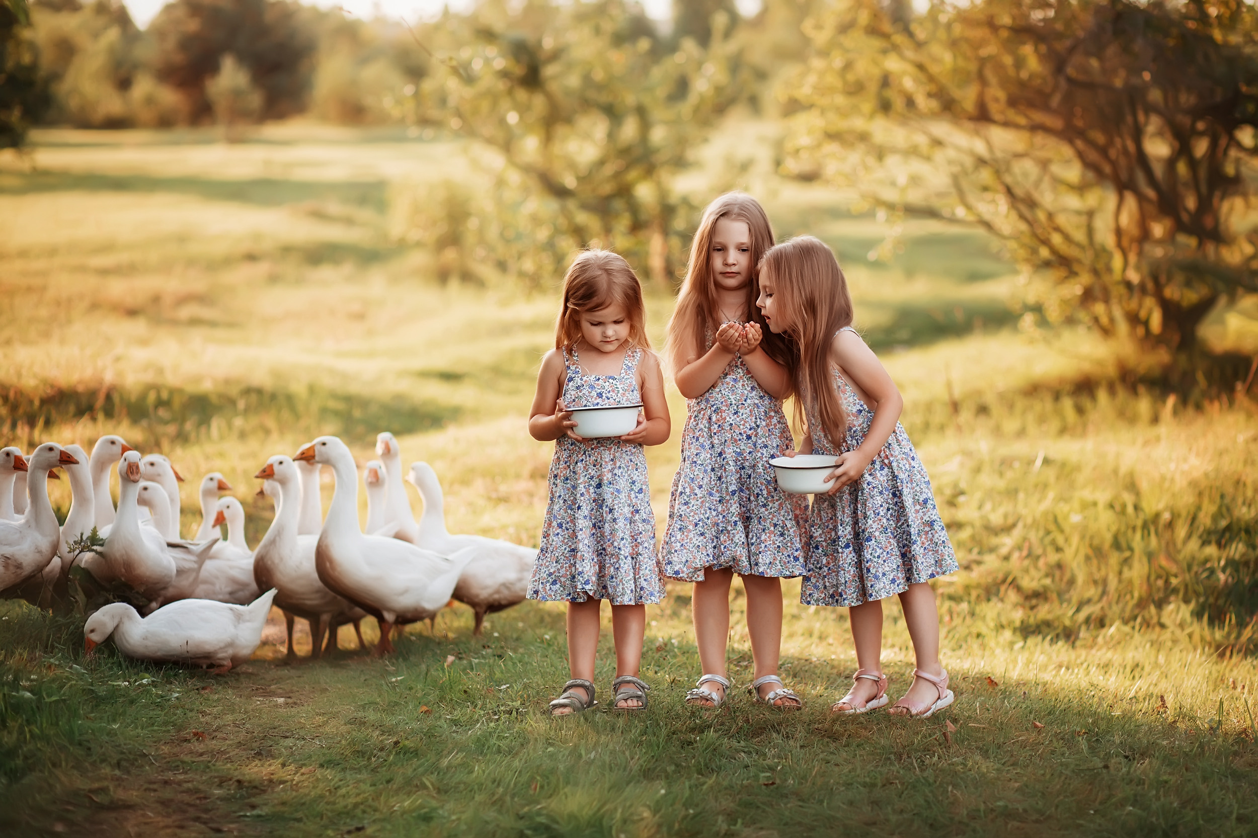 Дети и Гуси. Фотохудожник в Брянске Додонова Ольга