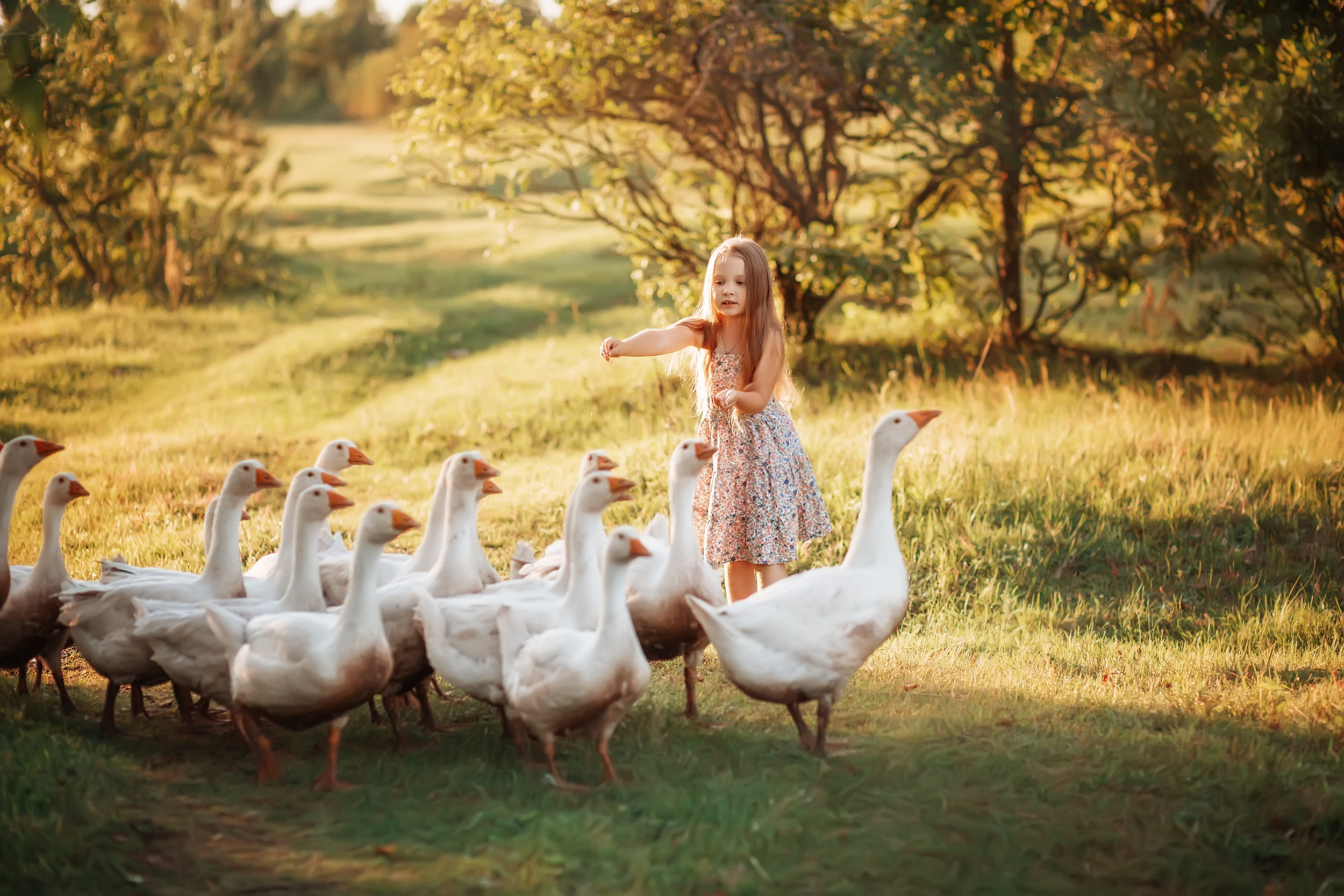 Дети и Гуси. Фотохудожник в Брянске Додонова Ольга