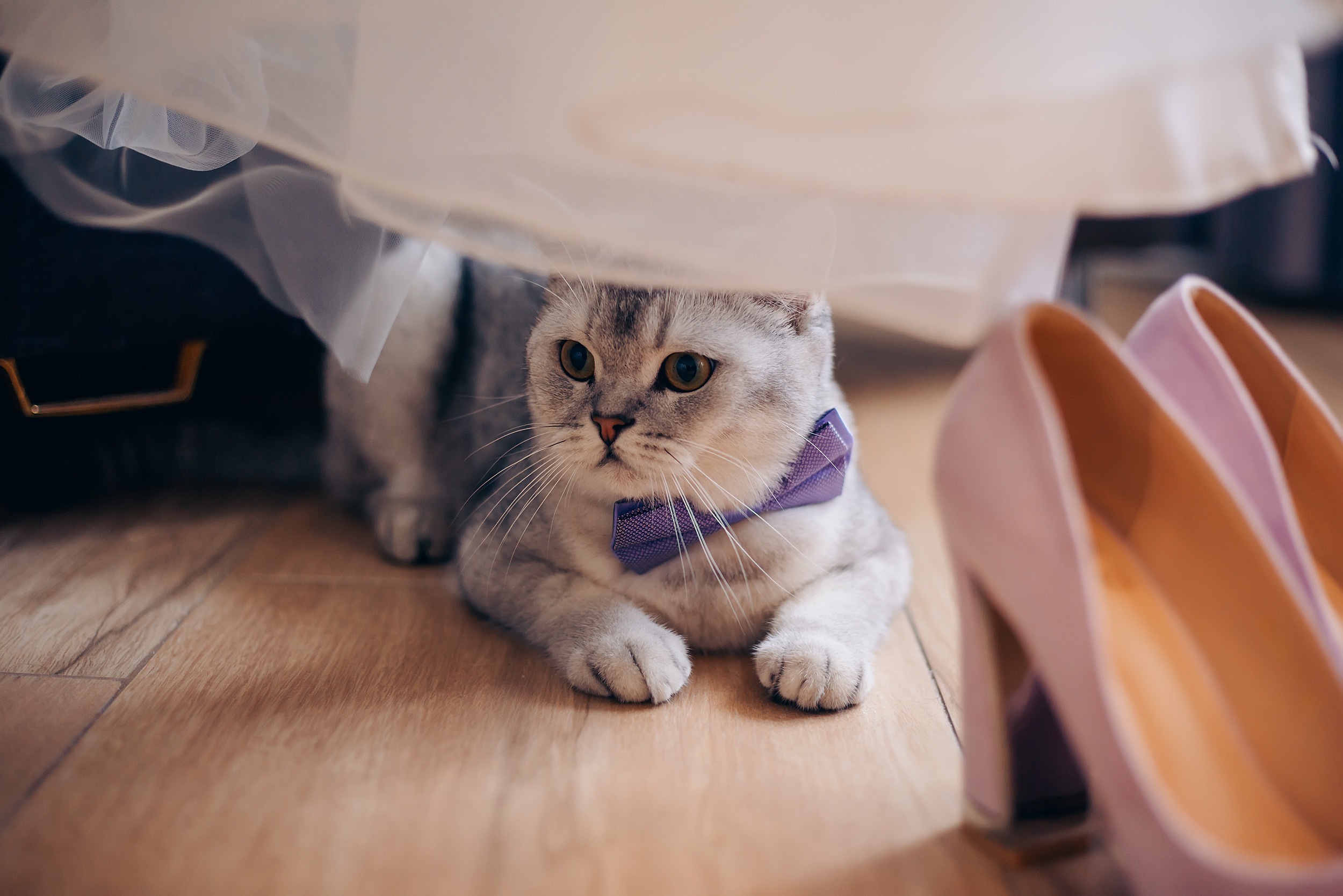 Татьяна и Александр. Фотохудожник в Брянске Додонова Ольга