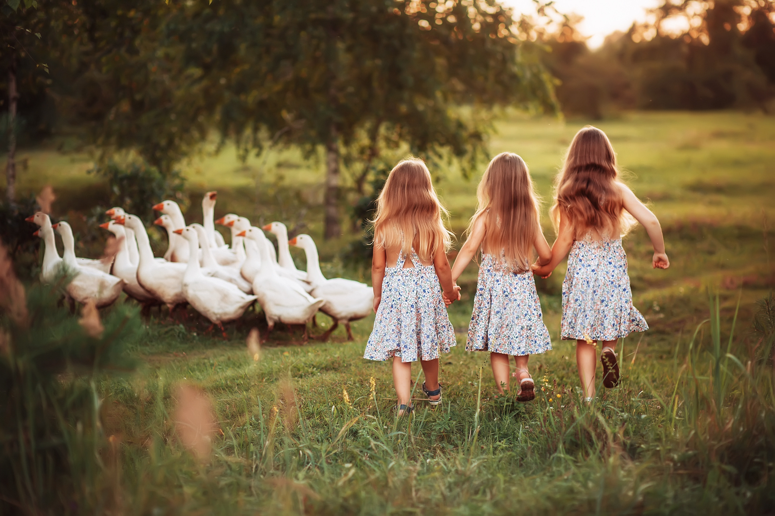Дети и Гуси. Фотохудожник в Брянске Додонова Ольга