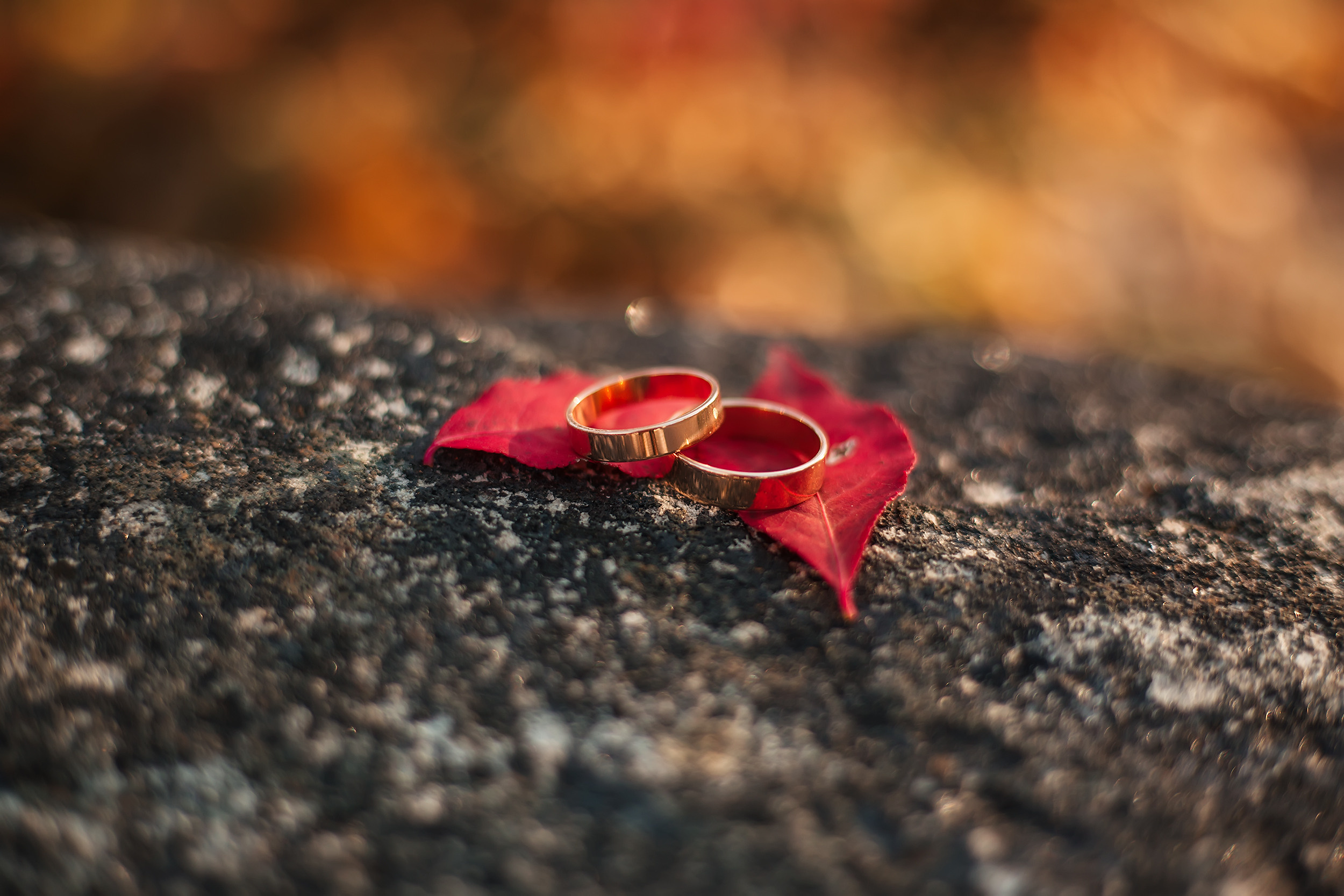 MillWood. Фотохудожник в Брянске Додонова Ольга