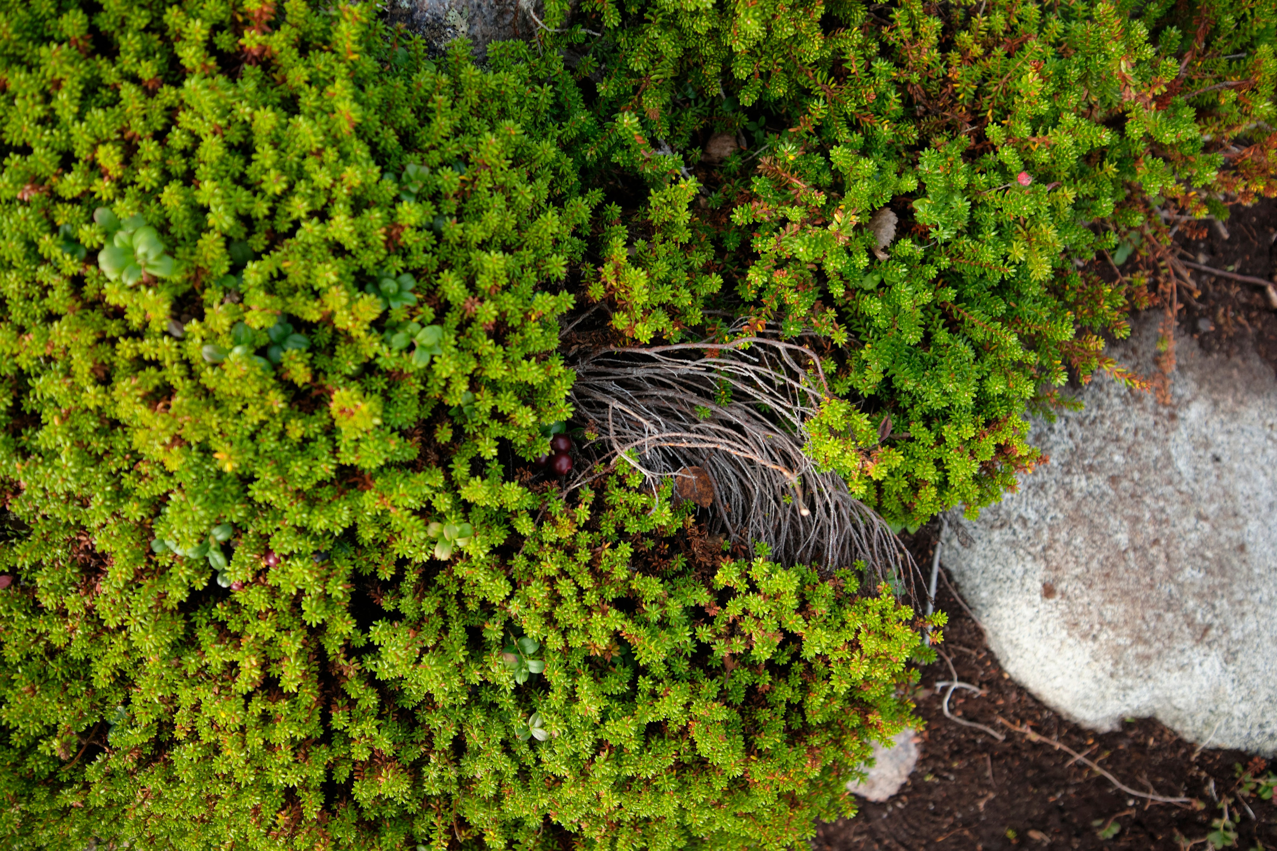 Путешествие в Териберку. Елена Павленко. Фотограф. Москва