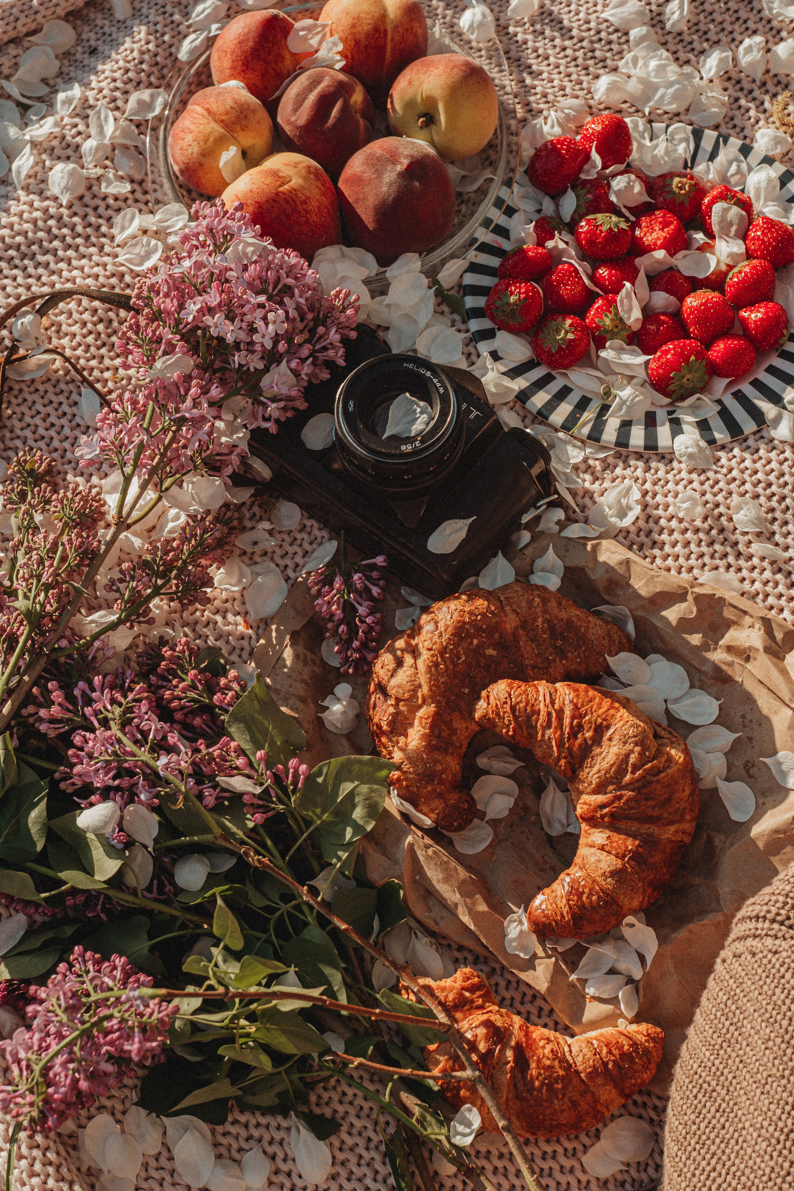 ALENA'S FAMILY. Портретный и Семейный фотограф в Санкт-Петербурге Rocket Alice
