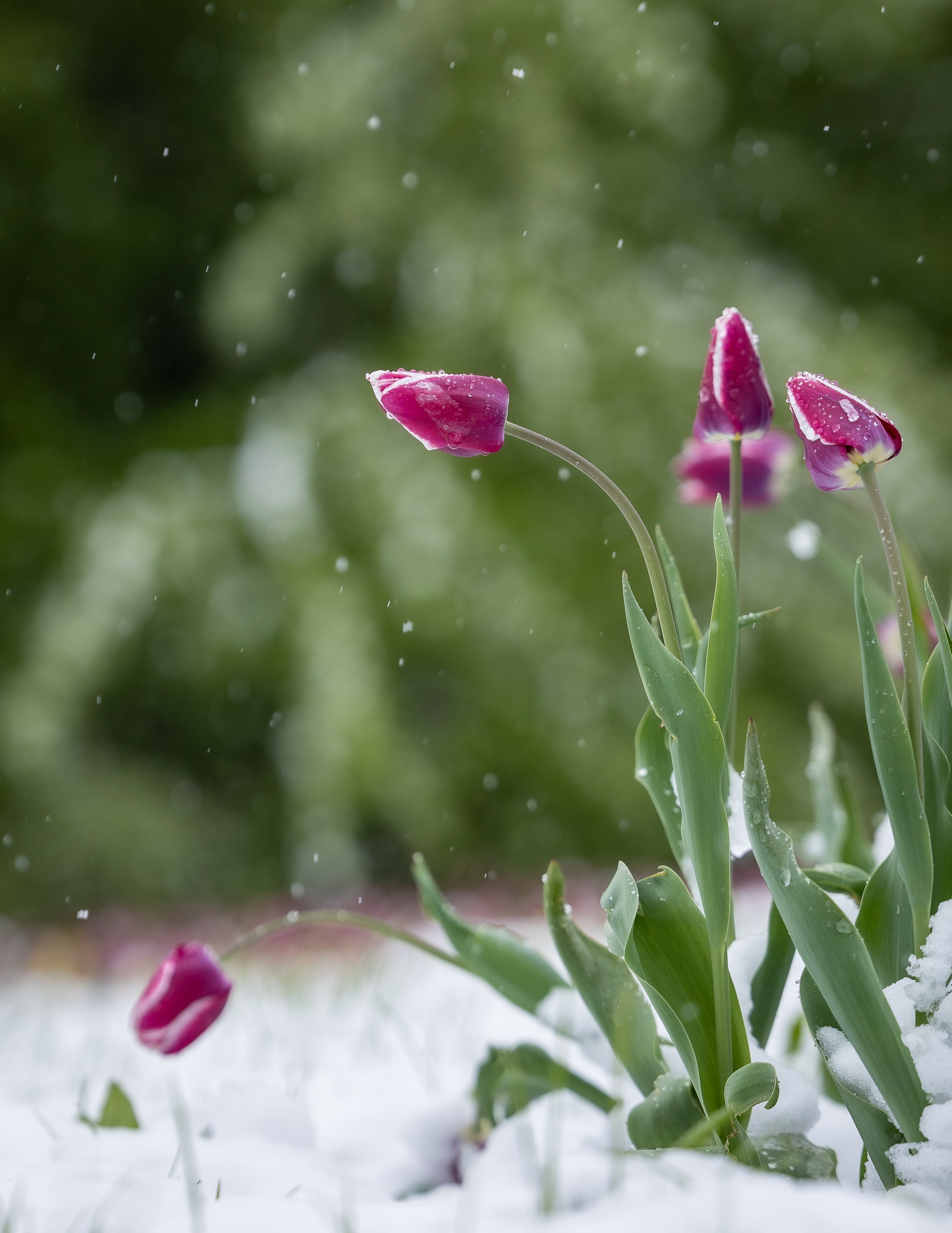 Городской пейзаж. Фотограф Владимир Охрименко