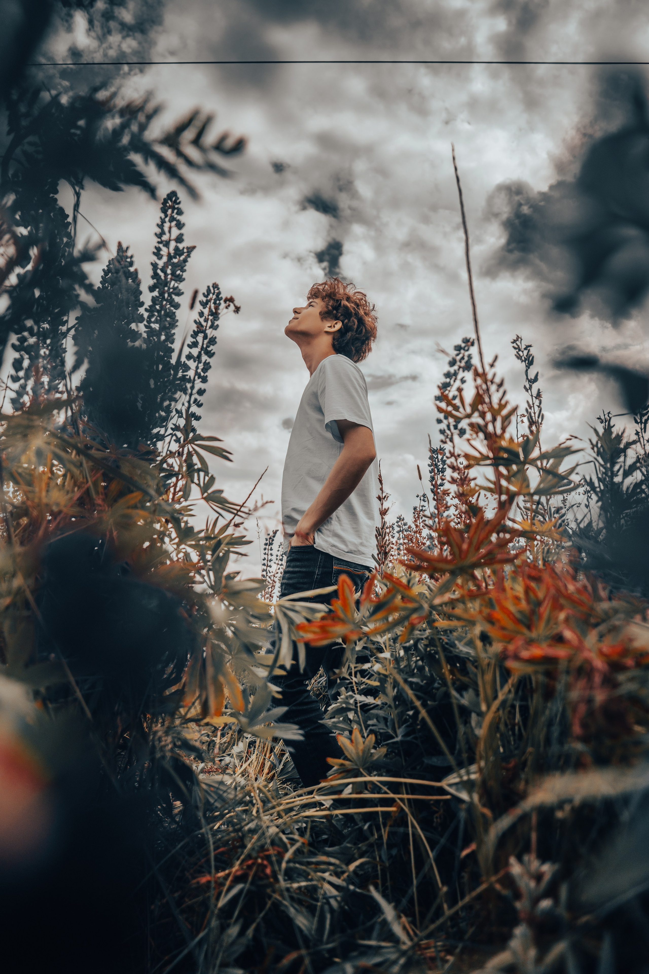 Фотосессия в поле. ТриМедиа Продакшн