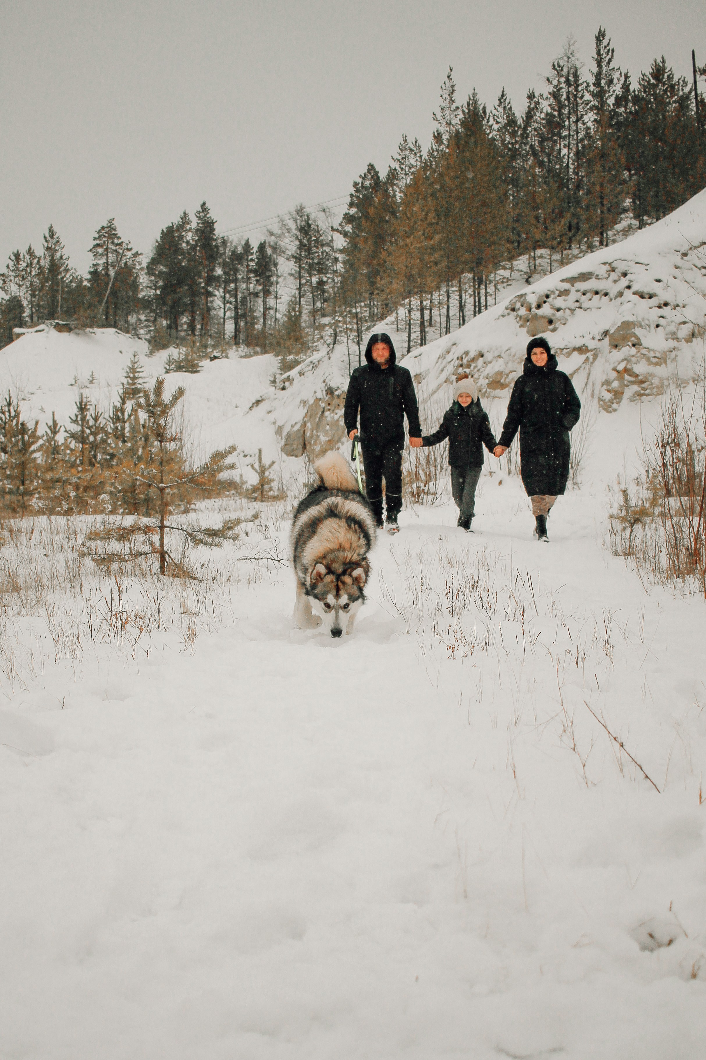 Амир, Юлия, дочь Алёна и Нанук. Семейный и детский фотограф в Якутске Людмила Кутовая