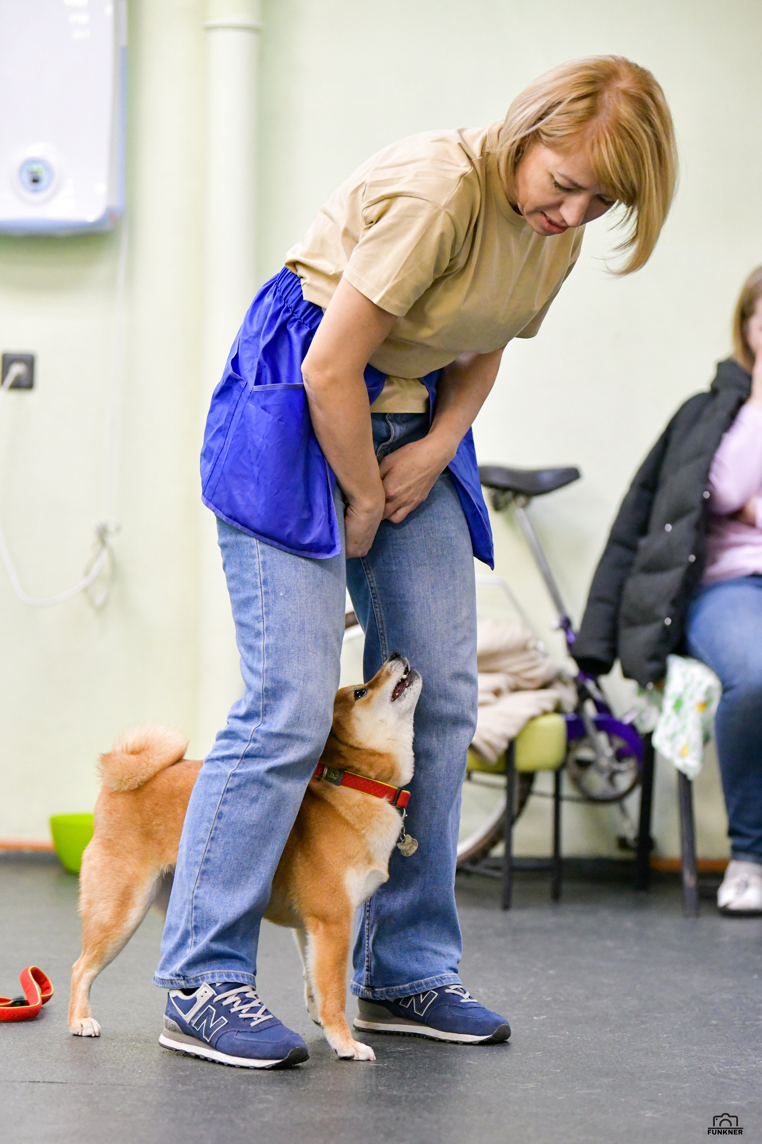Кинологический клуб «Бодрый хвост». Свой взгляд через объектив