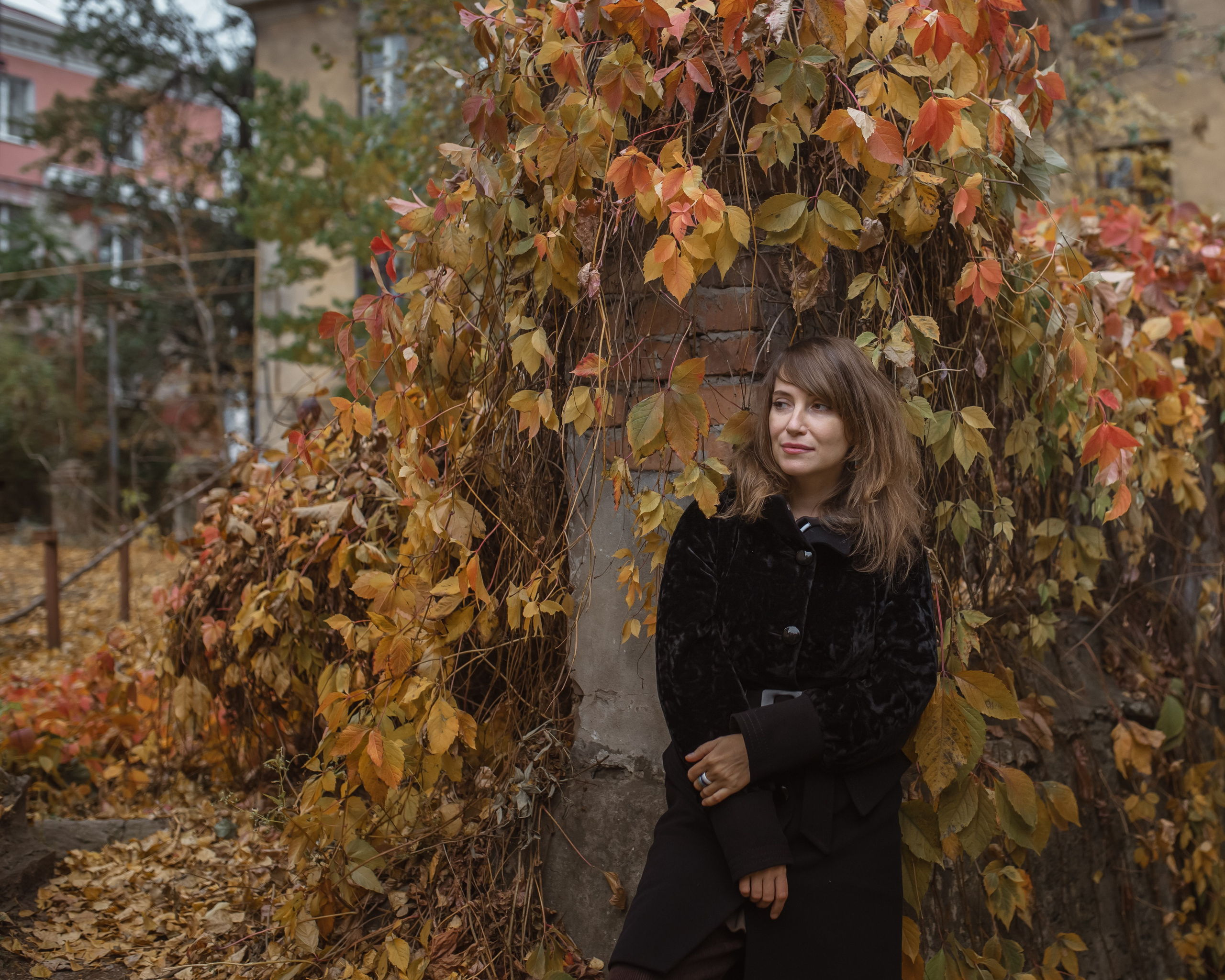 Осення фотосессия для солнечной Аревик