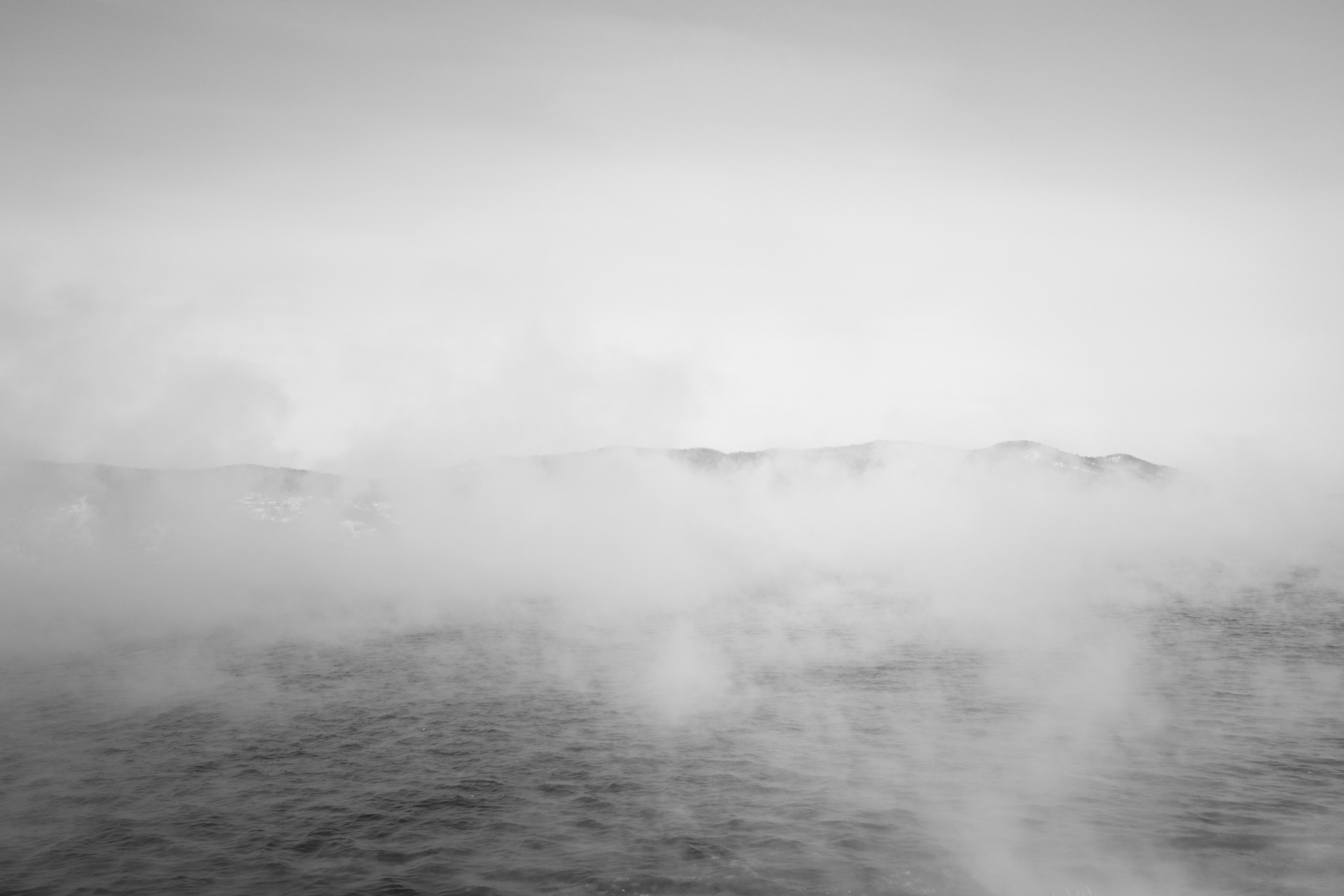 Безмолвие пустоши. Междисциплинарный художник Екатерина Старовойтова