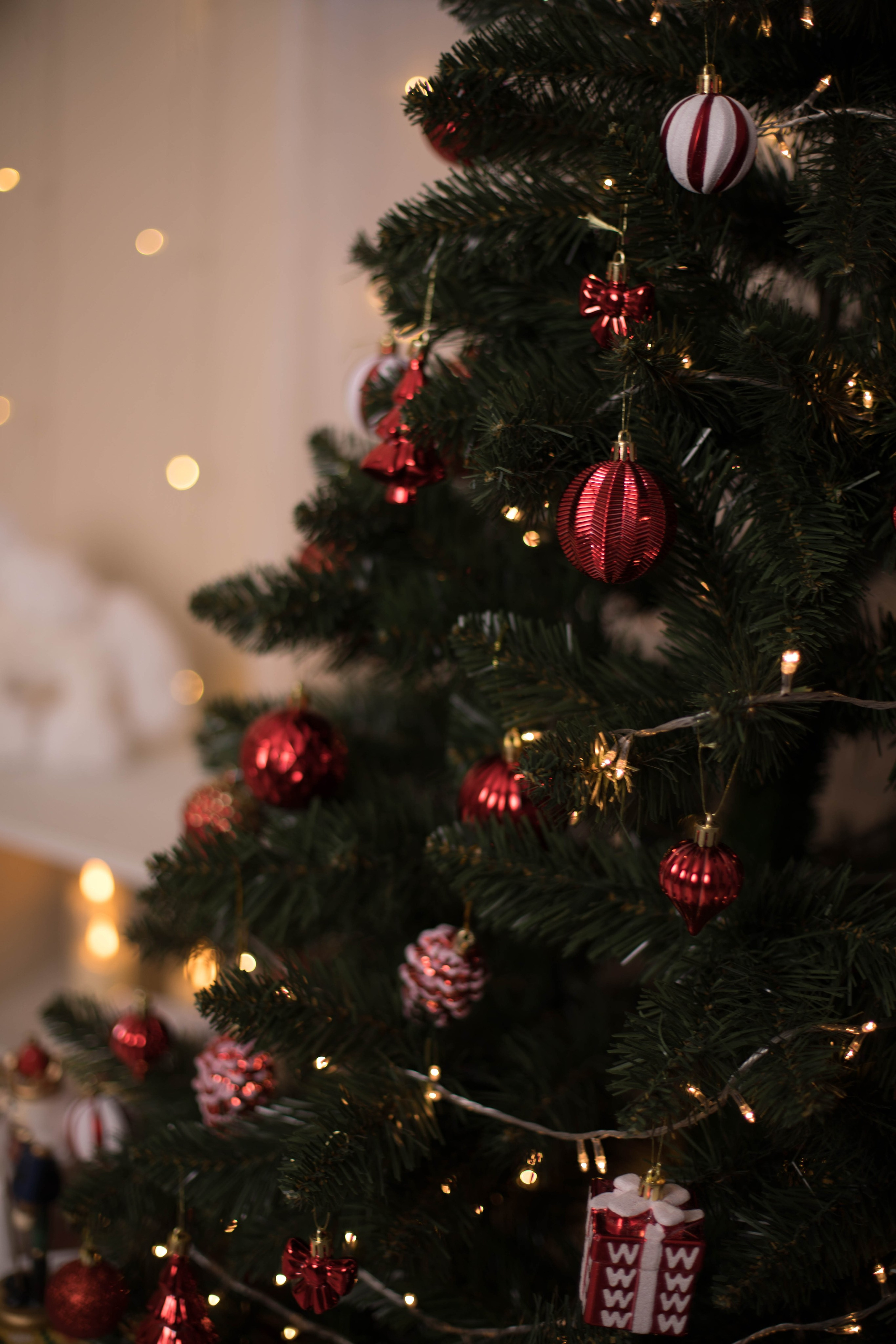 Рока (Roka). Фотограф г. Хабаровск. Семейные и индивидуальные съёмки