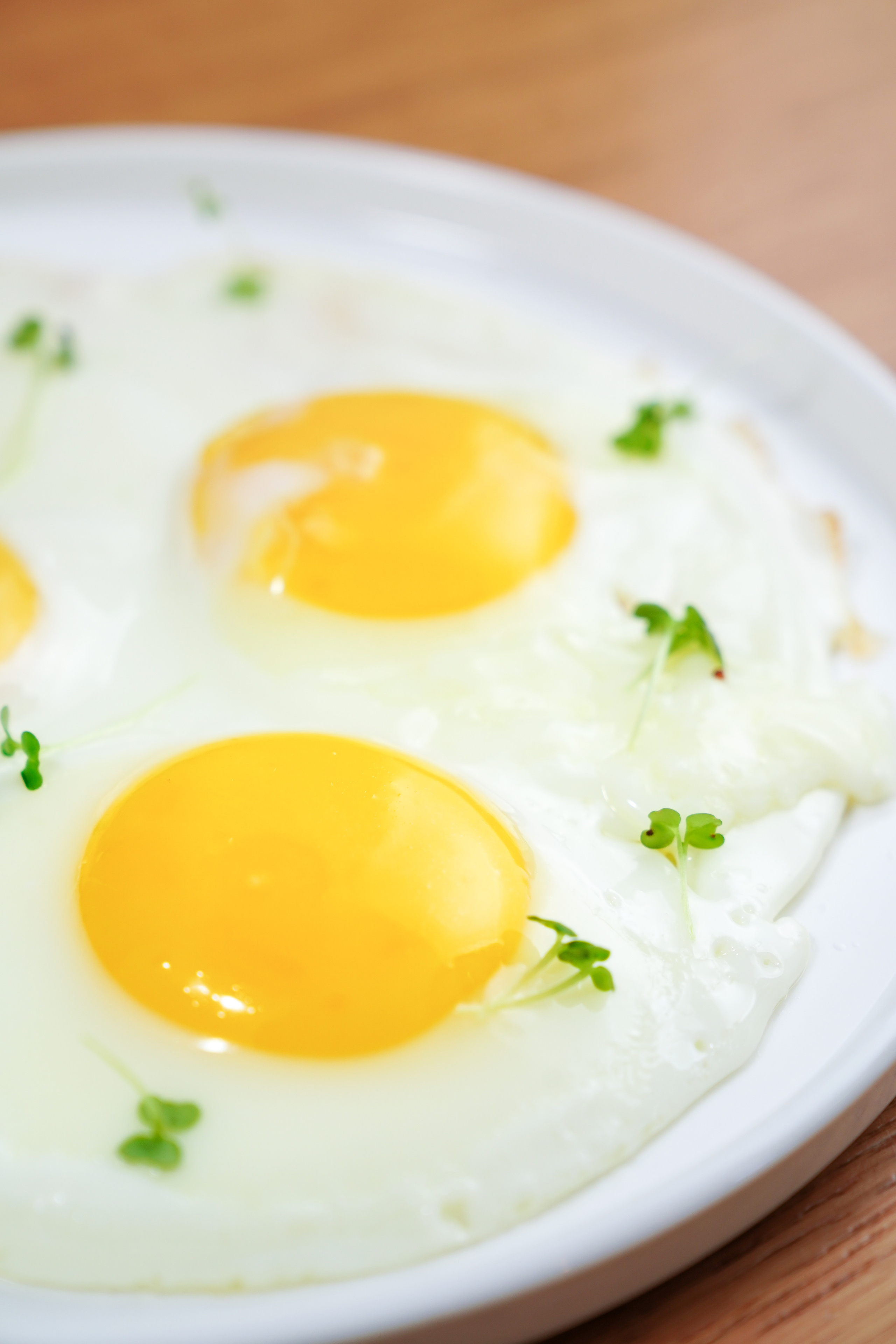 Бистро Мишель. Контентный и свадебный фотограф в Краснодаре и Сочи Елена Плотникова