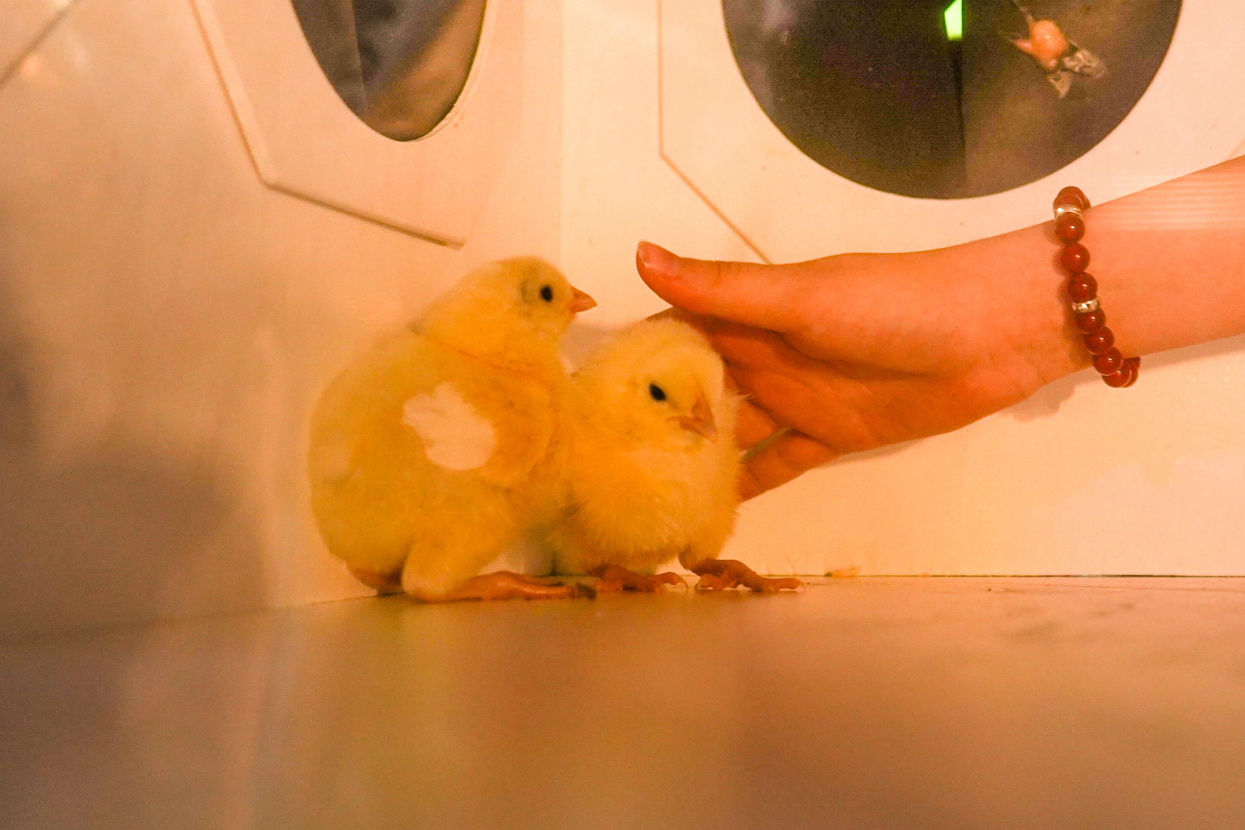 День рождения Киры в Футурамии. Семейный и портретный фотограф в Екатеринбурге Анна Лобанова