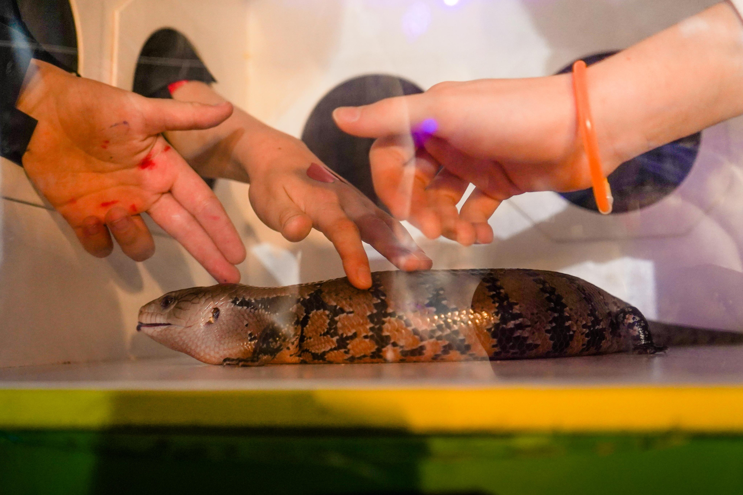 День рождения Киры в Футурамии. Семейный и портретный фотограф в Екатеринбурге Анна Лобанова