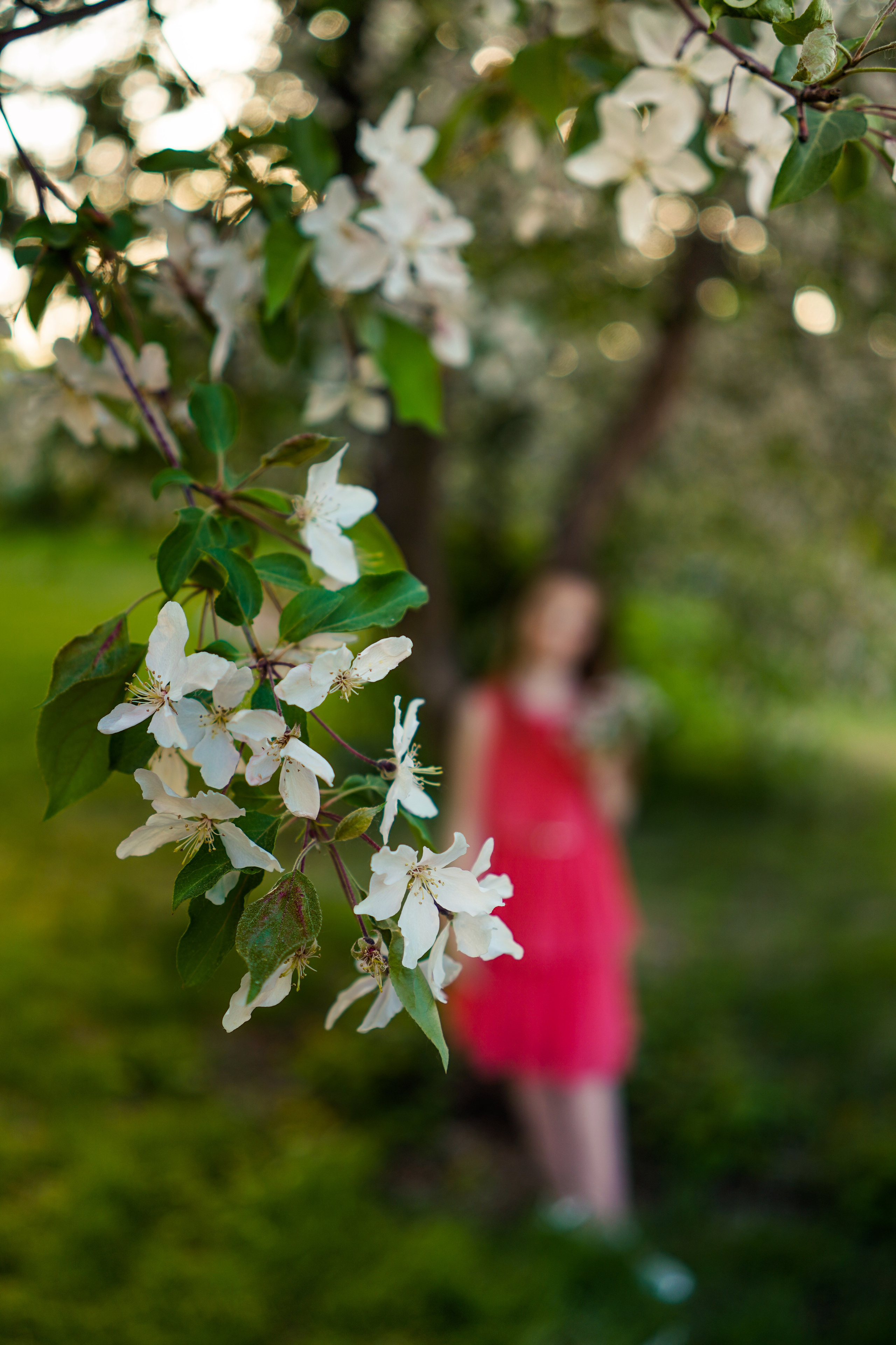 Юная красавица. Семейный и портретный фотограф в Екатеринбурге Анна Лобанова
