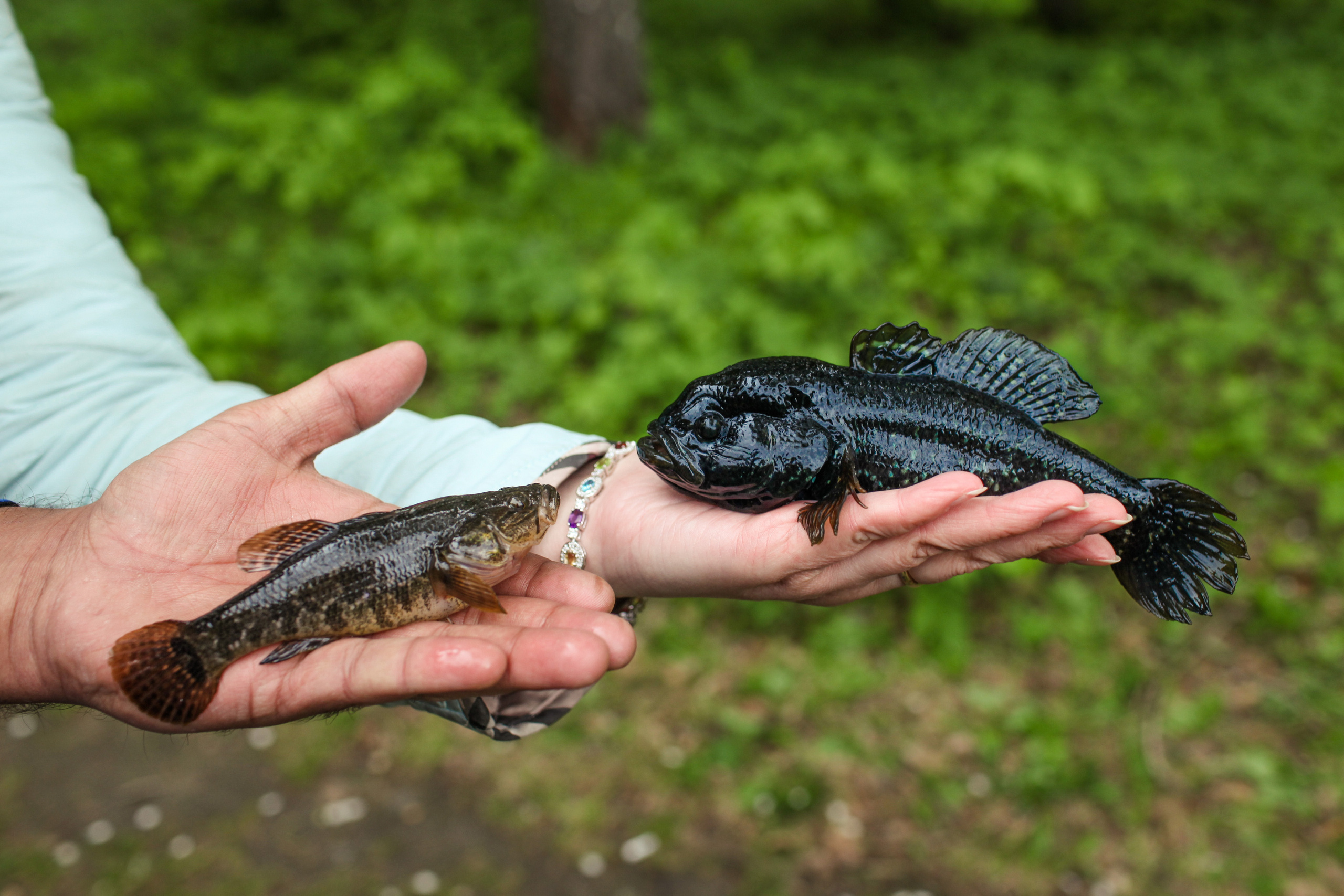 Абид и Марина — индийская история. Семейный и портретный фотограф в Екатеринбурге Анна Лобанова