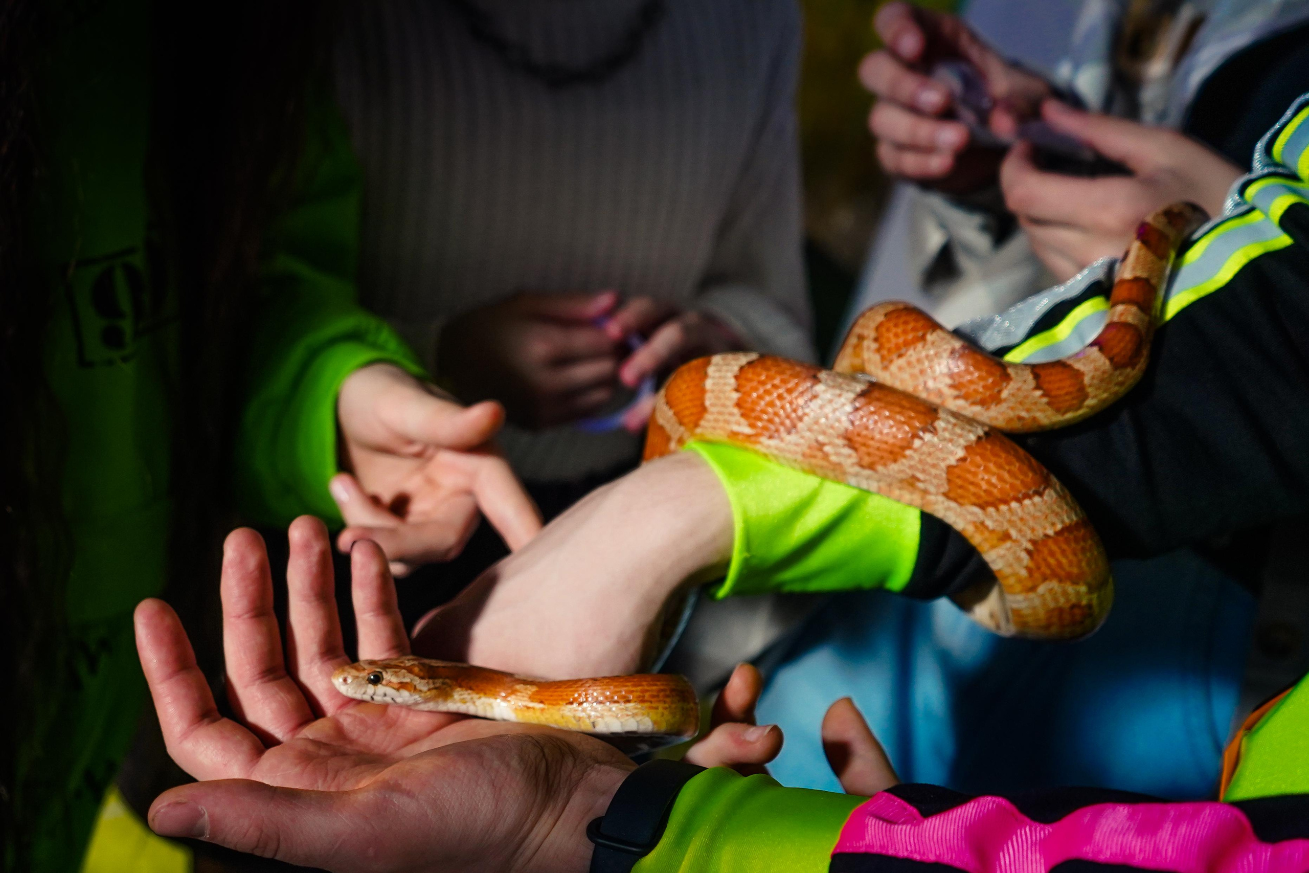День рождения Киры в Футурамии. Семейный и портретный фотограф в Екатеринбурге Анна Лобанова
