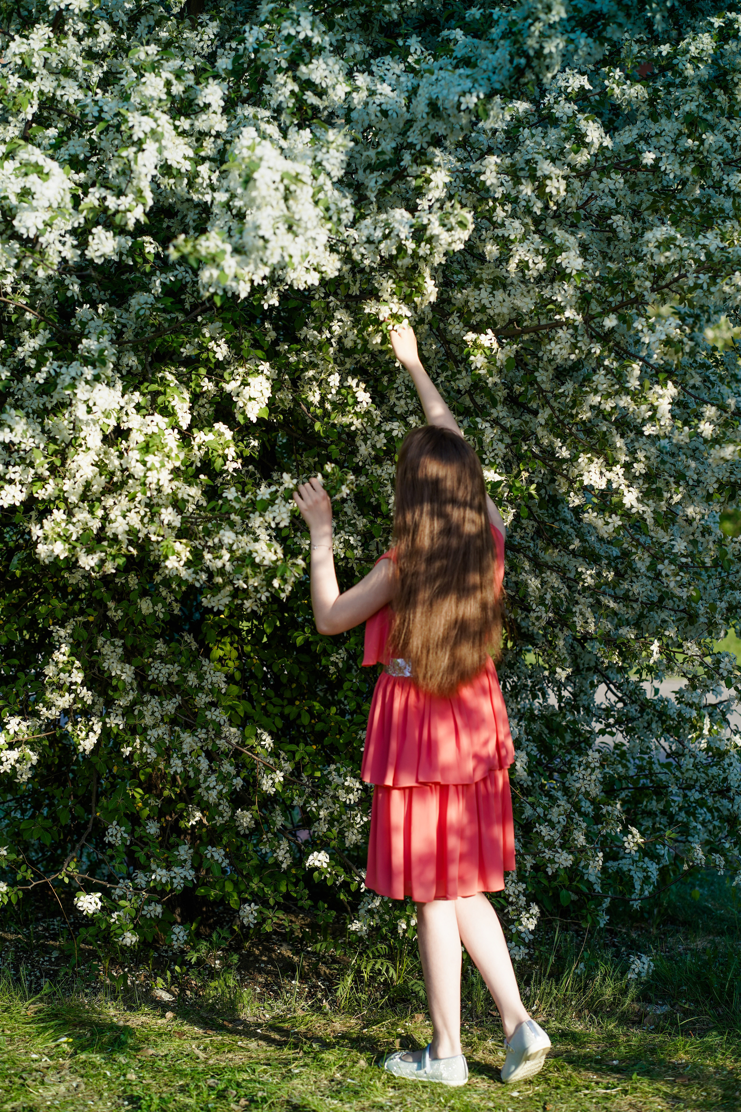 Юная красавица. Семейный и портретный фотограф в Екатеринбурге Анна Лобанова