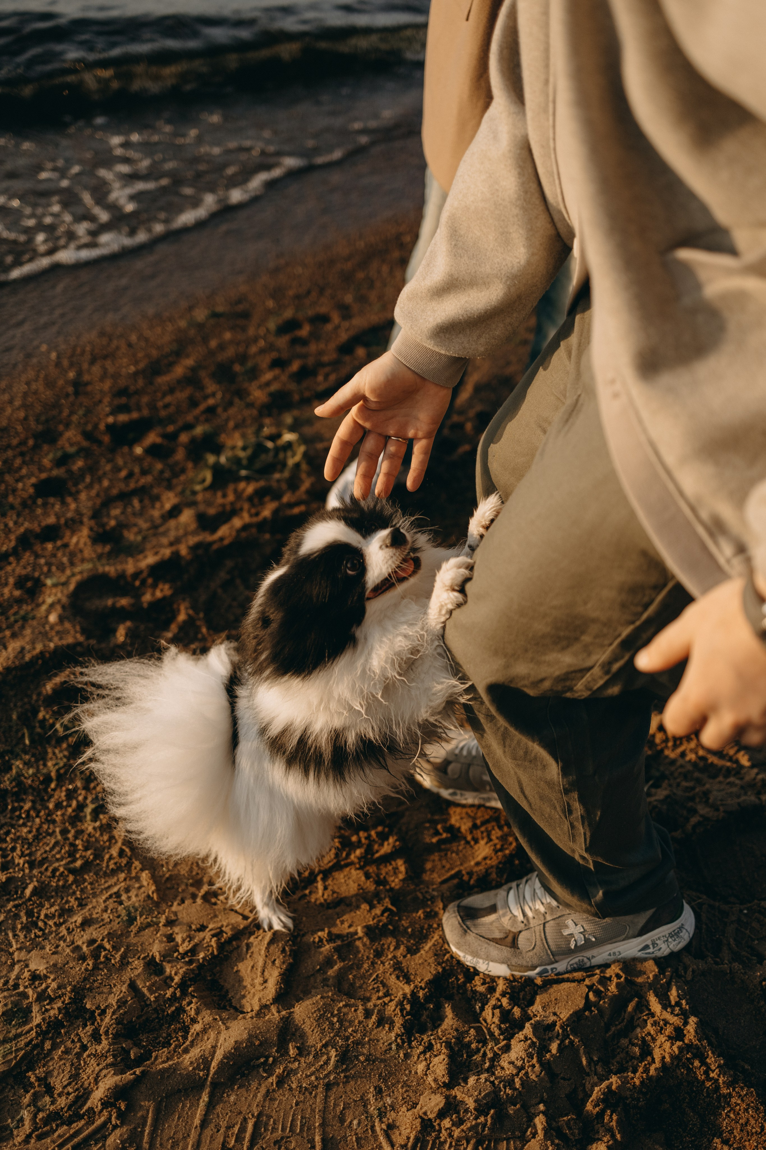 Диана и ее мальчики. Фотограф — Анималист | Санкт-Петербург
