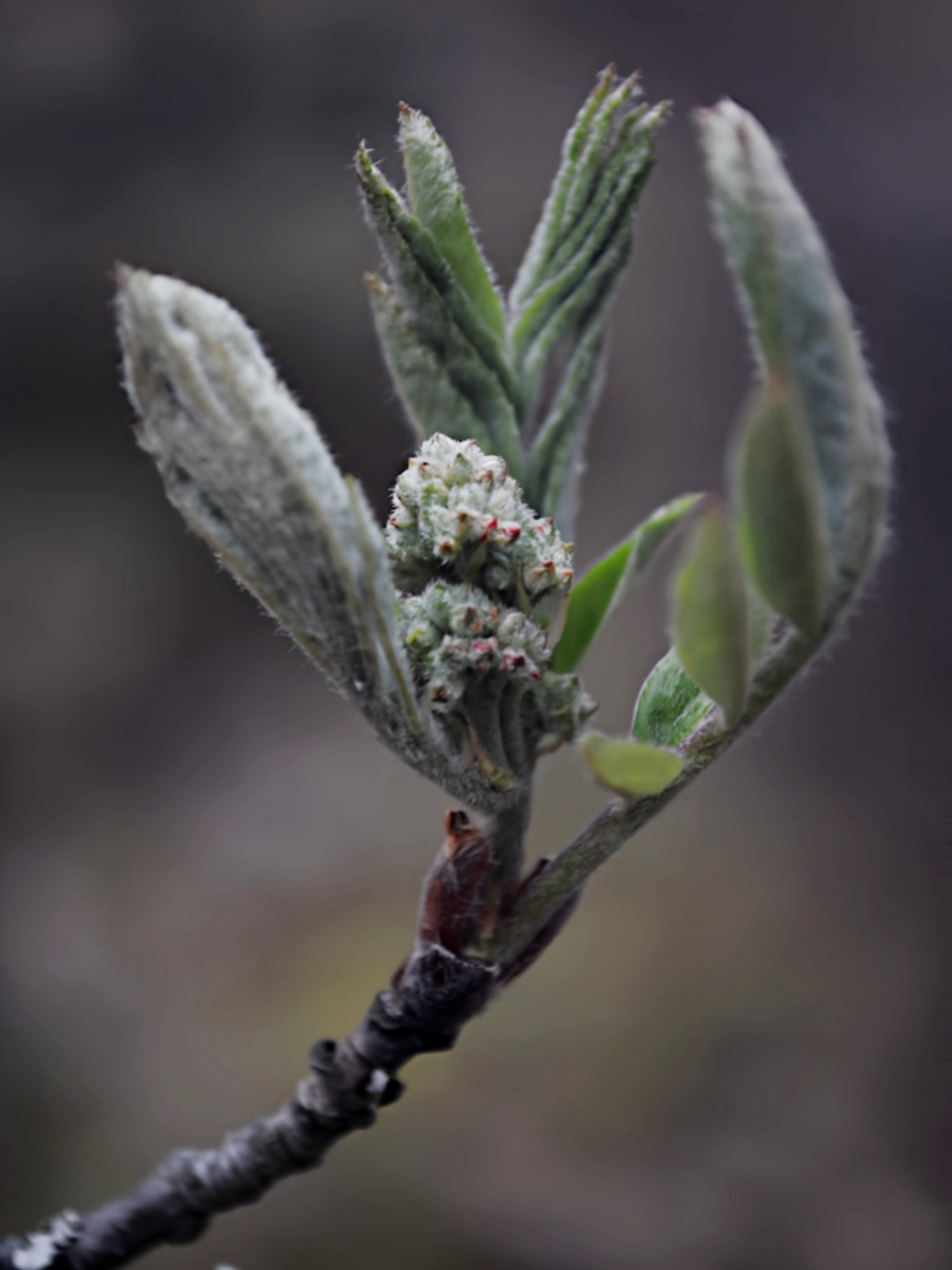 Nature. Надежда Козлова, фотограф, Санкт — Петербург