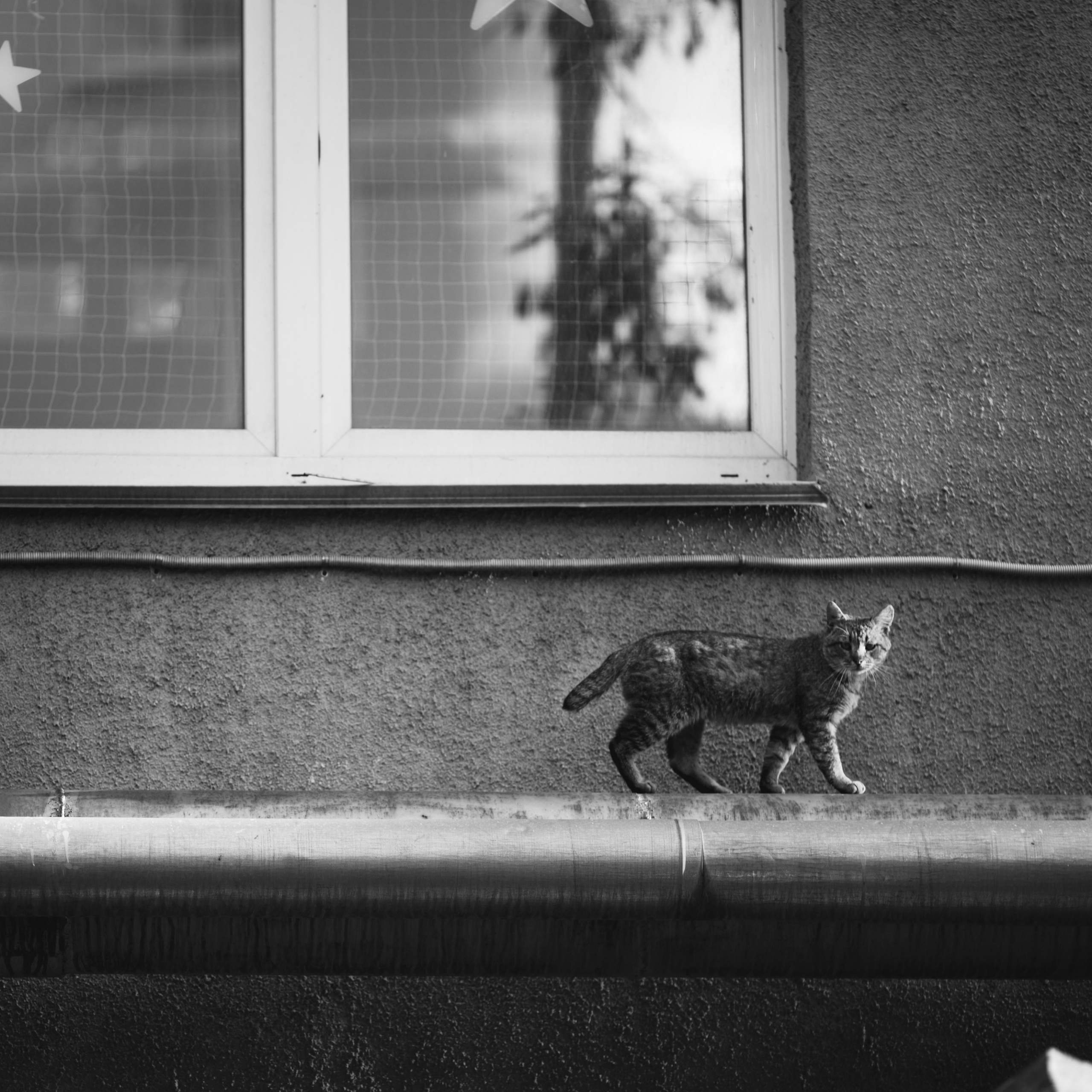 Street photography. Commercial photographer | Anton Ermakov