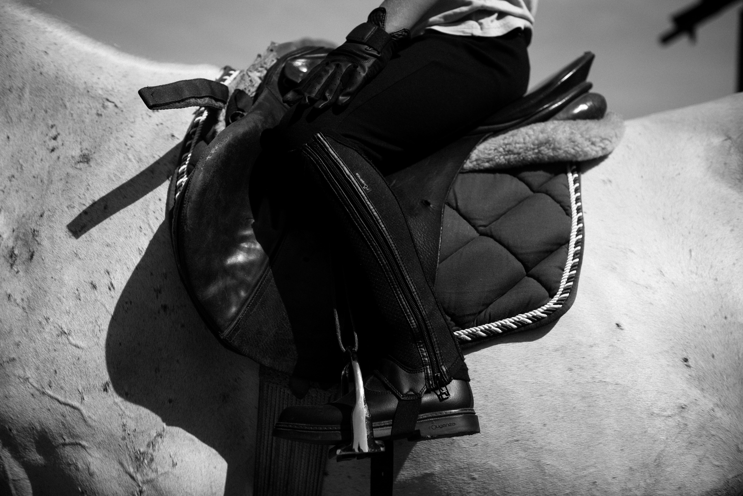 Equestrian camp in Poland. Commercial photographer | Anton Ermakov