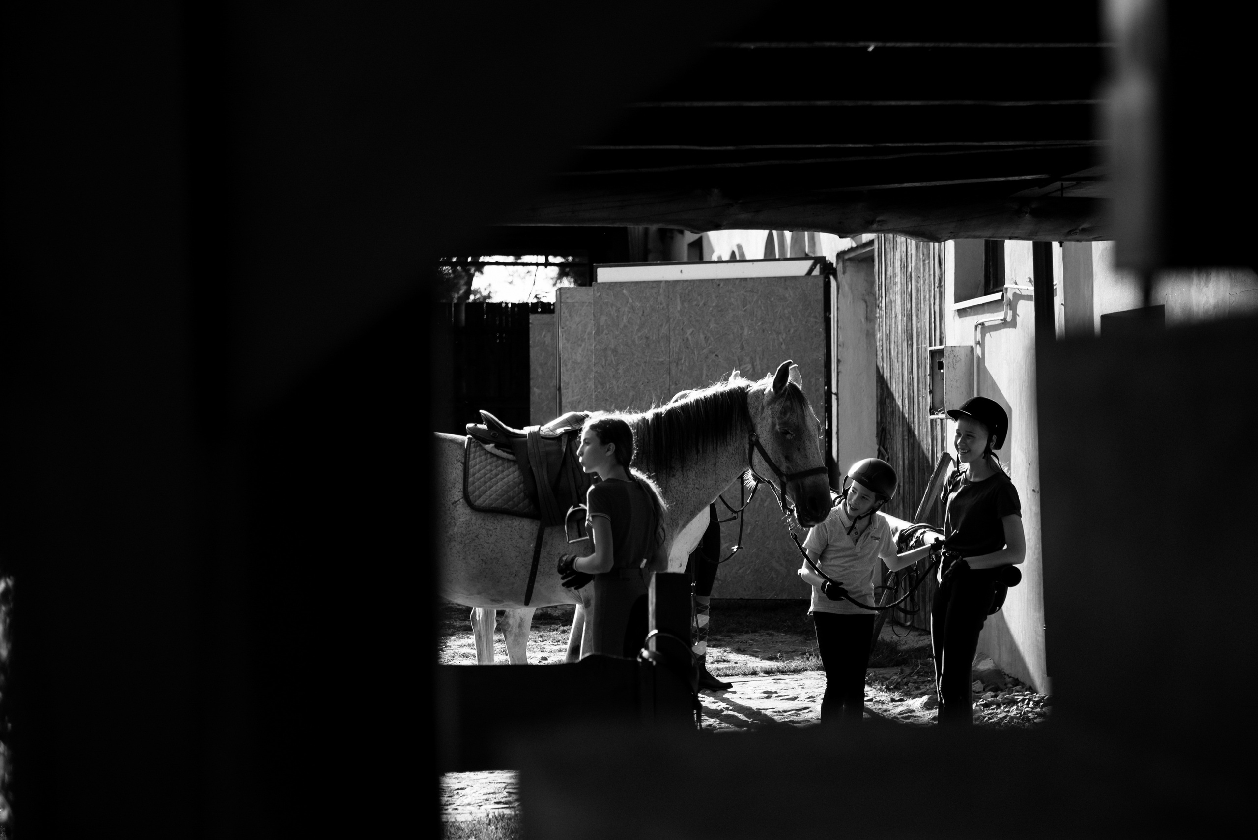 Equestrian camp in Poland. Commercial photographer | Anton Ermakov