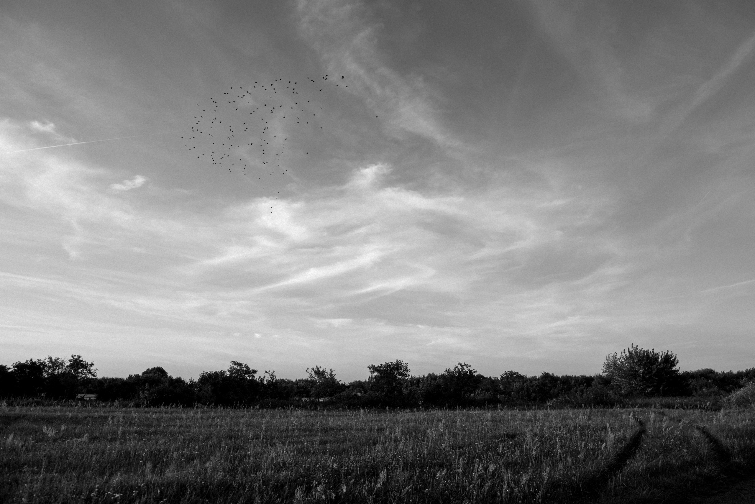 Equestrian camp in Poland. Commercial photographer | Anton Ermakov