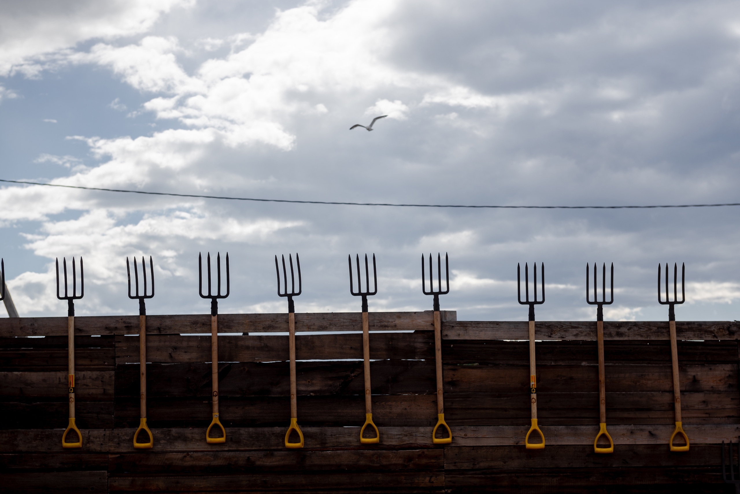 Festival RADI SVETA BAIKAL. Commercial photographer | Anton Ermakov