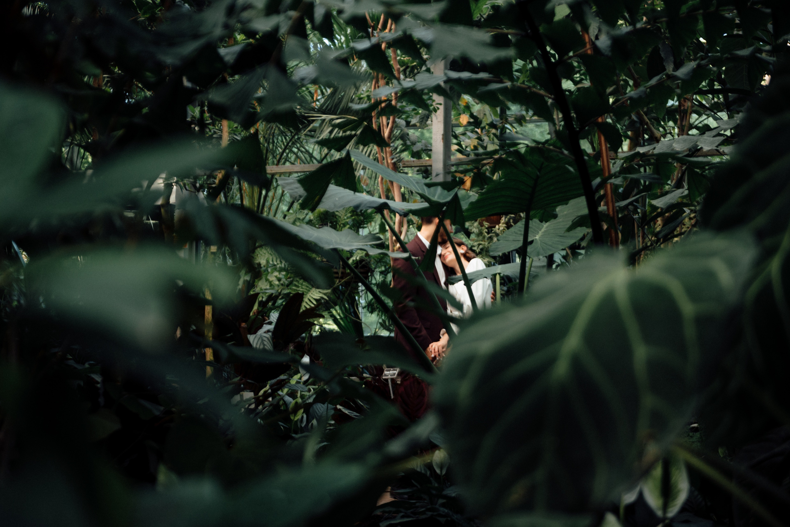 Wedding photo shoot of Nikolai and Anastasia. Commercial photographer | Anton Ermakov