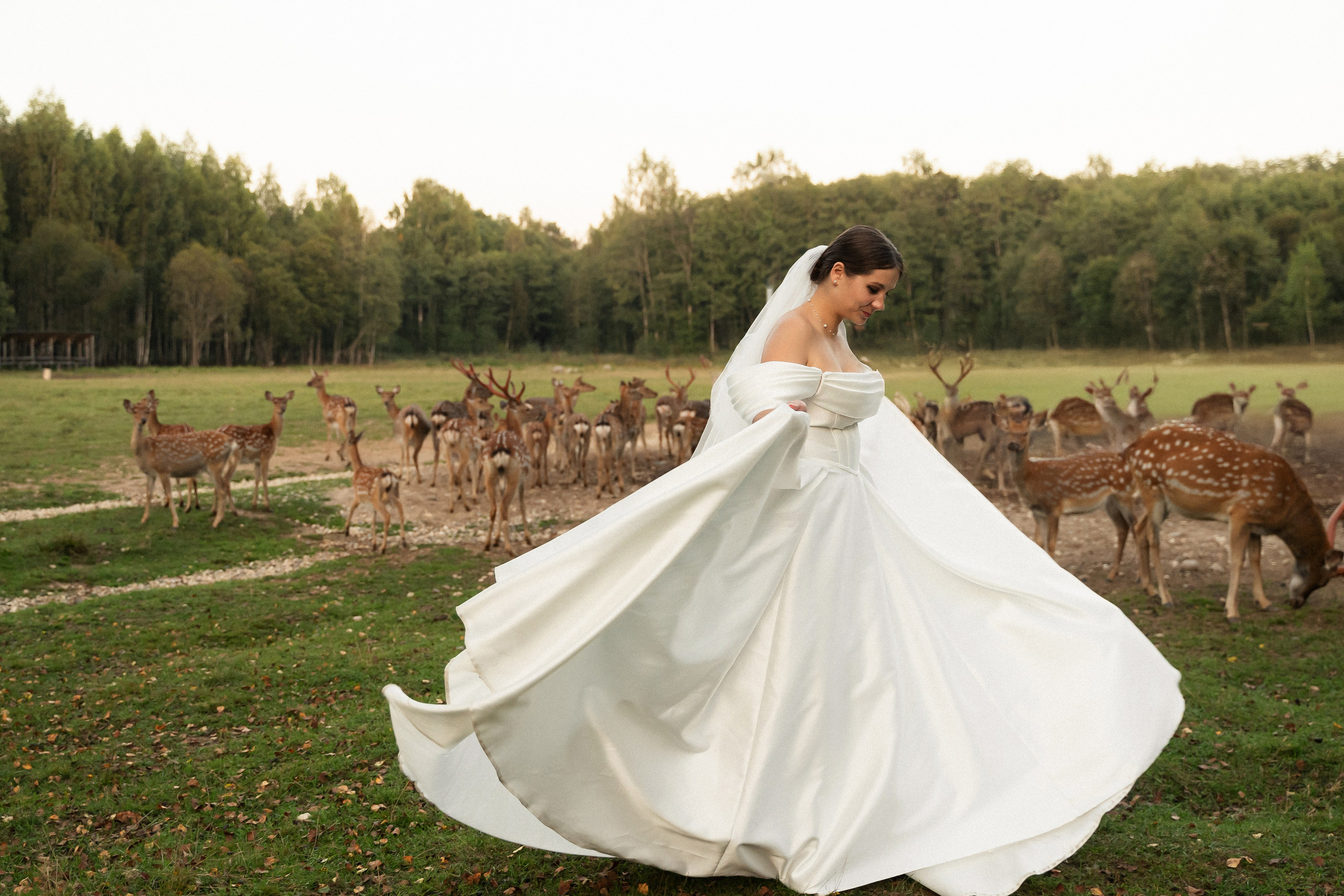 Алина и Сергей. Фотограф Алина Филимонова Тверь