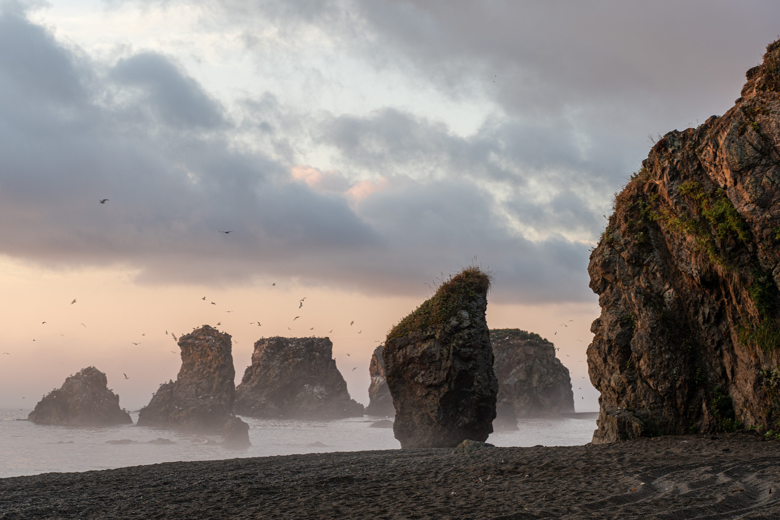 Сахалин 2025. Творческие сьемки