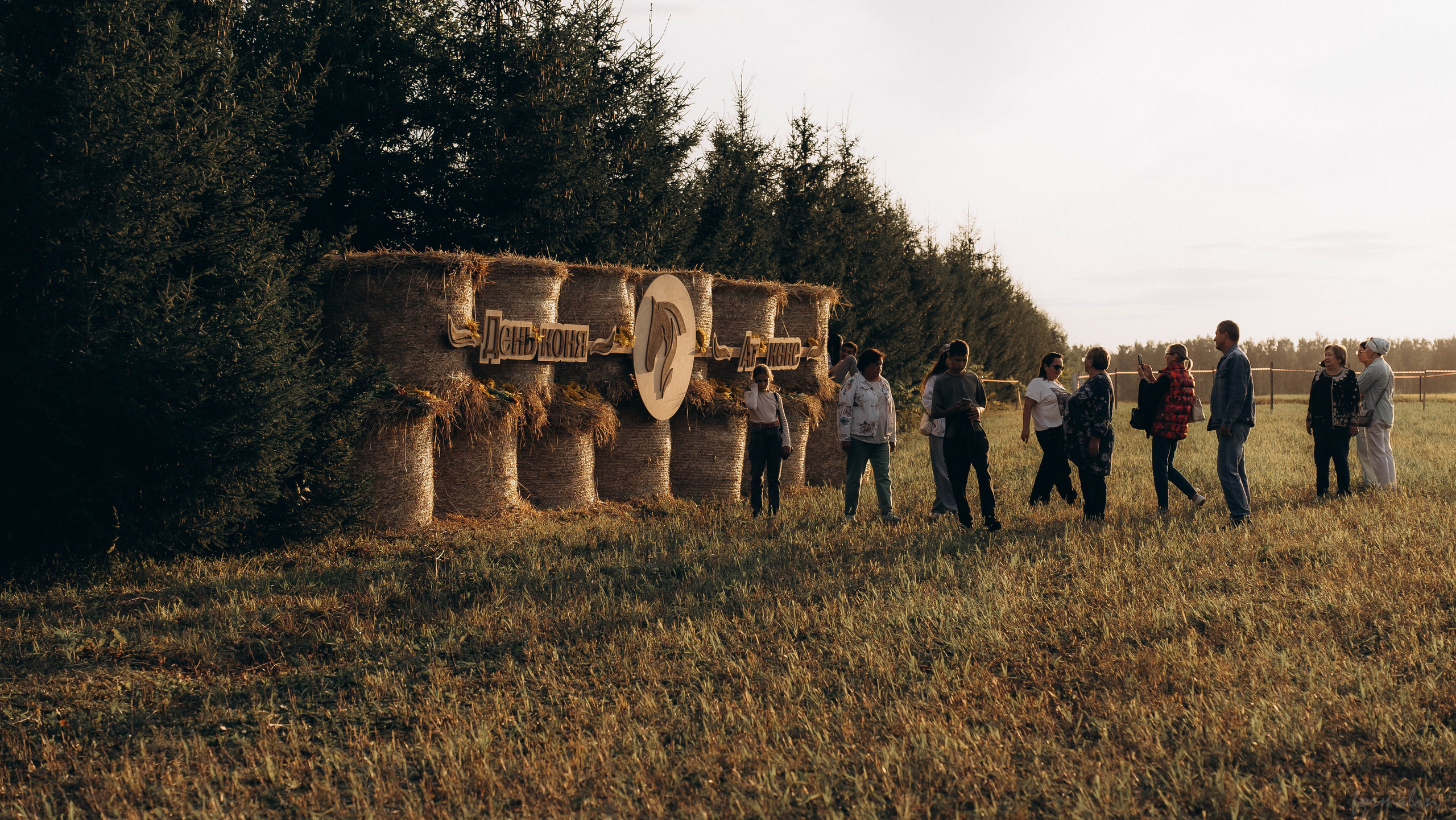 День Коня. Алиса Никитцова | Фотограф в Казани