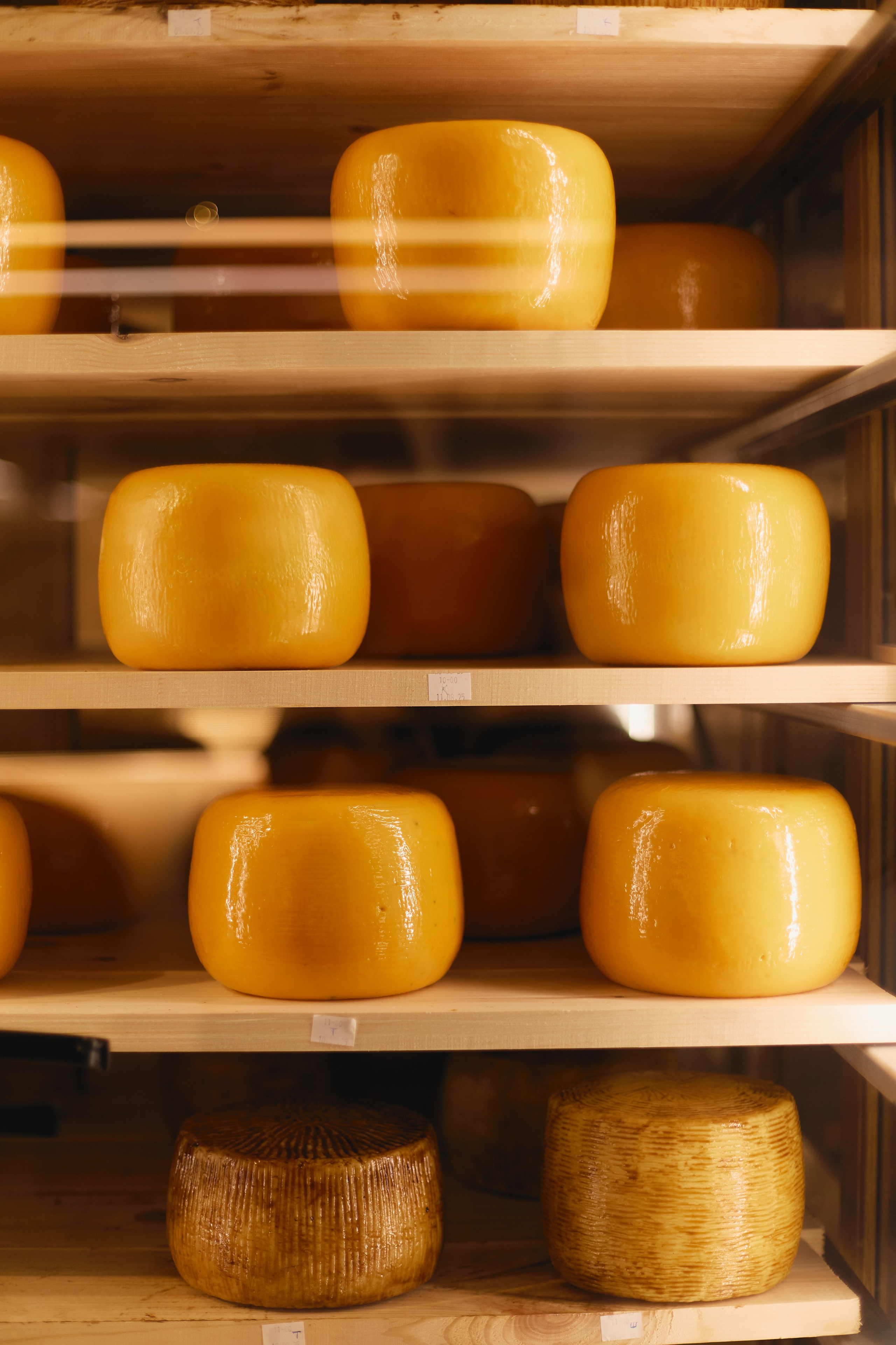 Гастроужин в Сыроварне. Профессиональный фотограф в Екатеринбурге — Виолетта Бунос