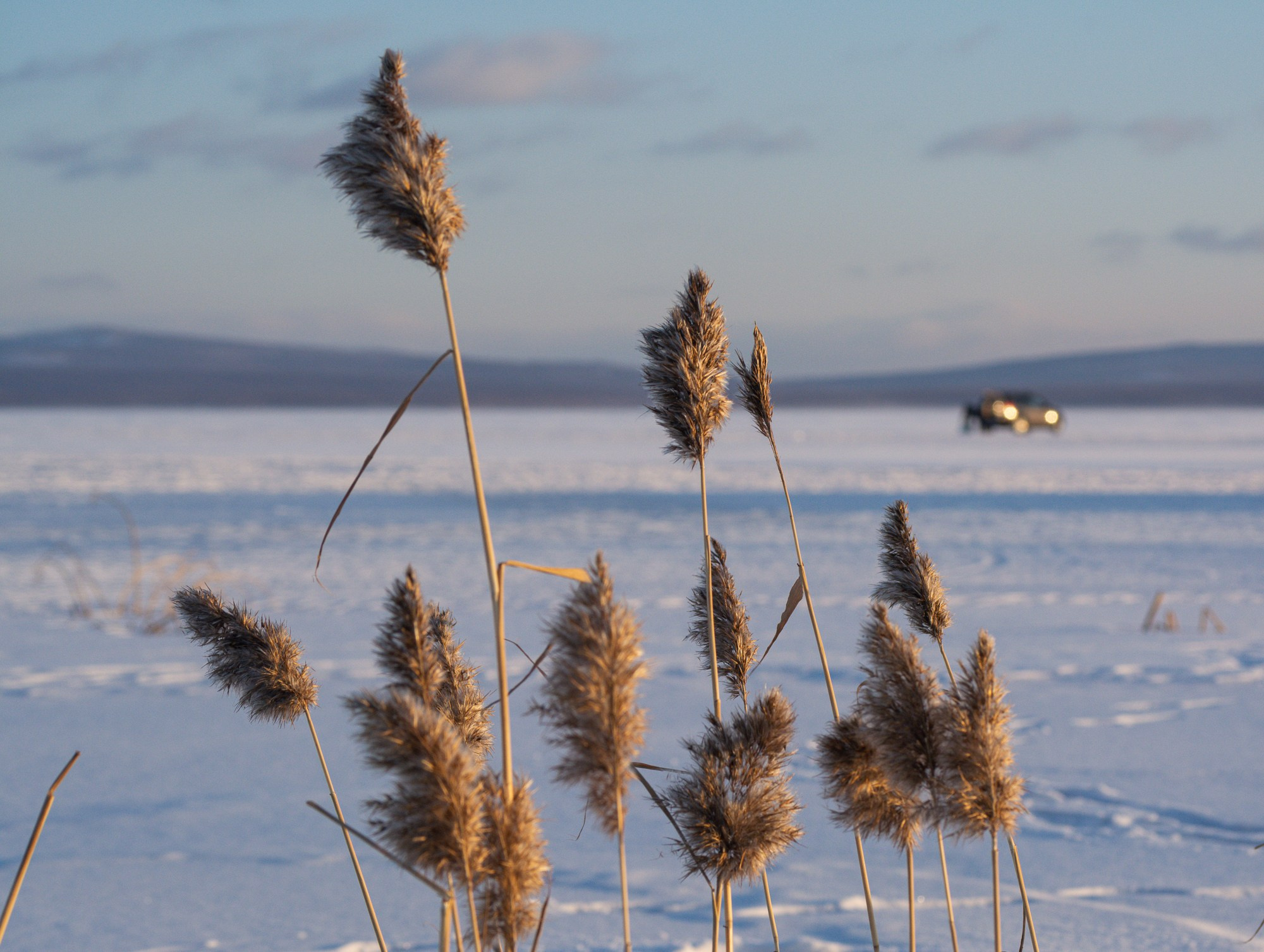 Разное. Репортажный фотограф г. Чита