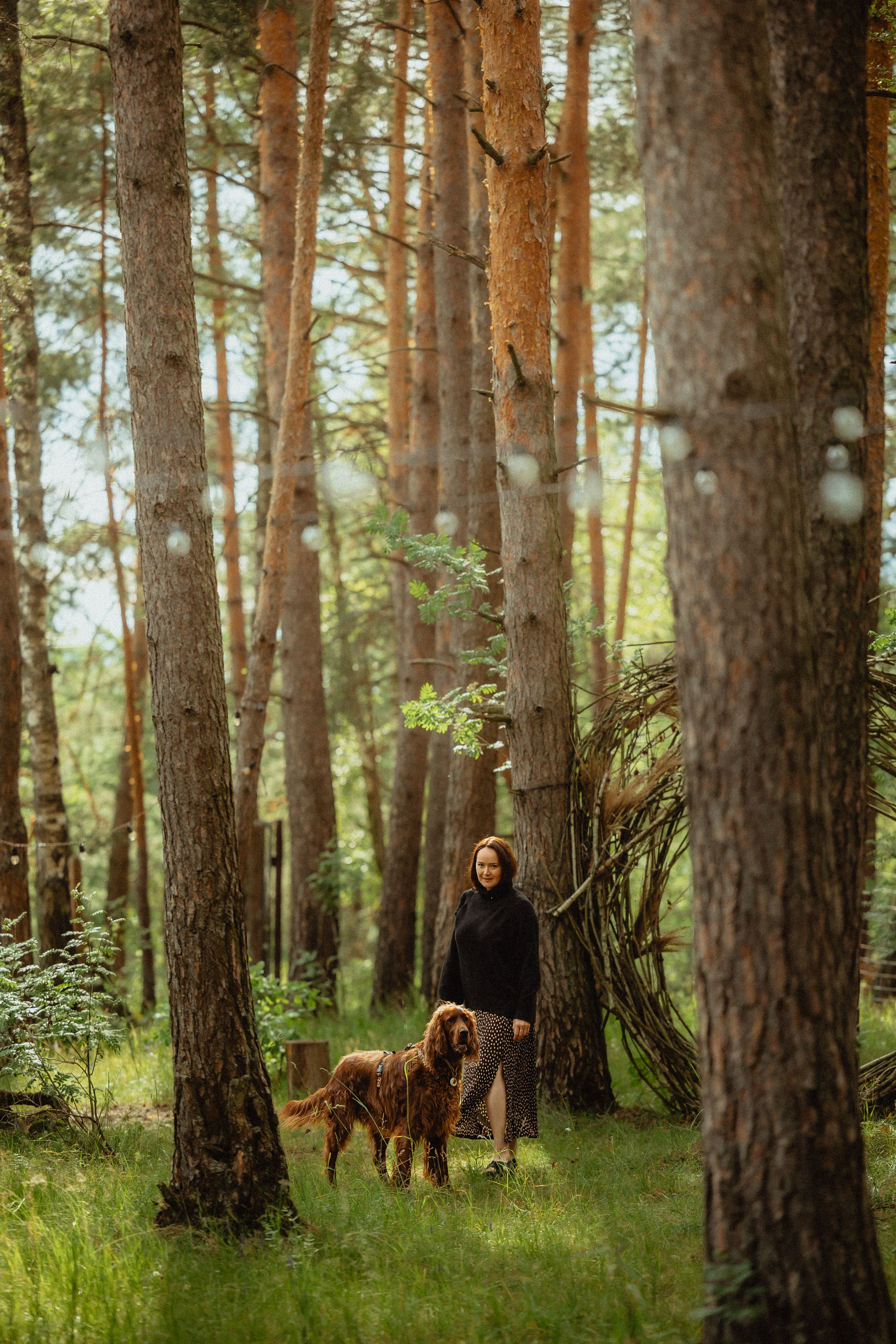 Выездной дог-тренинг от школы «Шерсть имею»