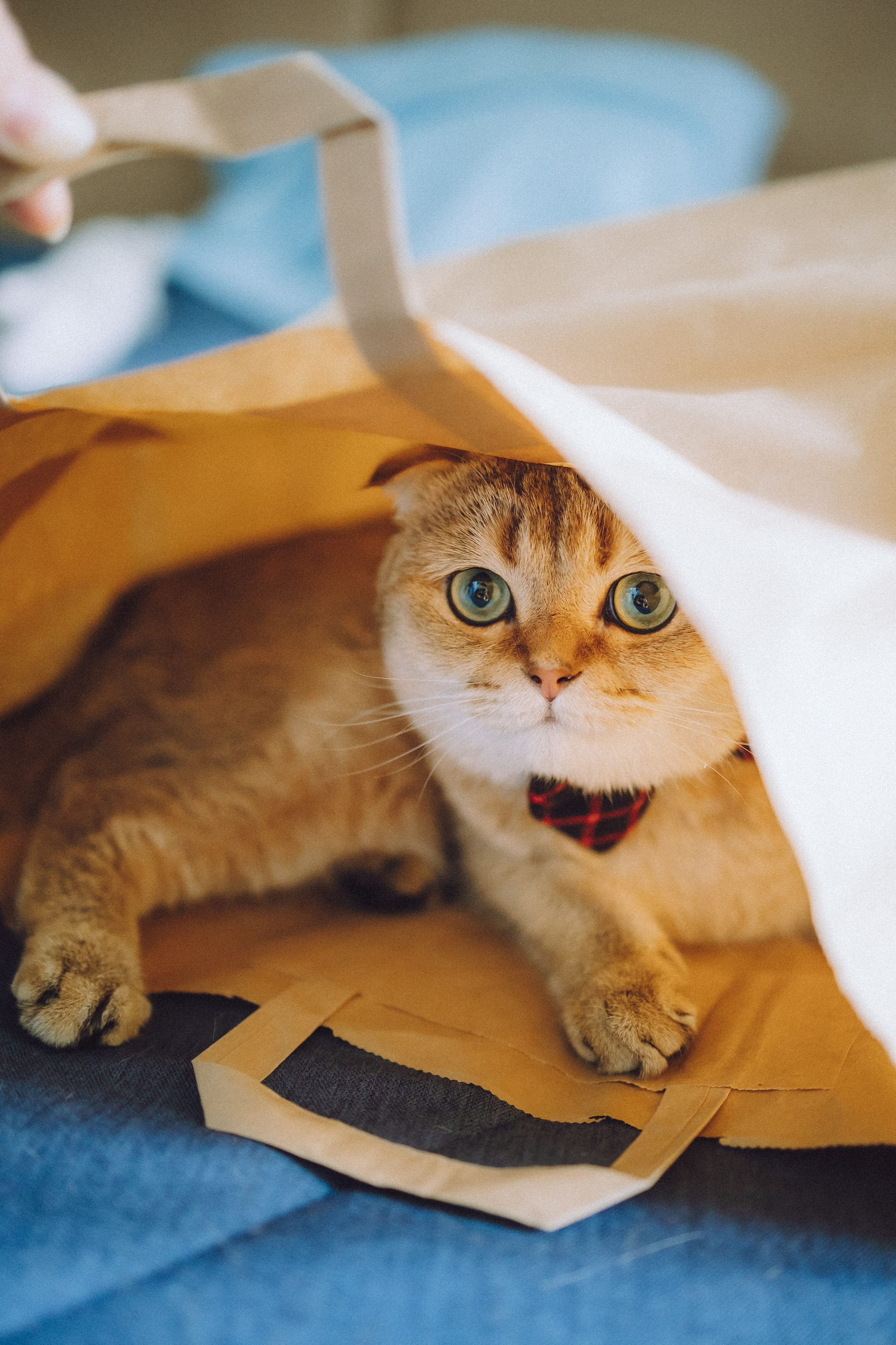 Генри и его семья