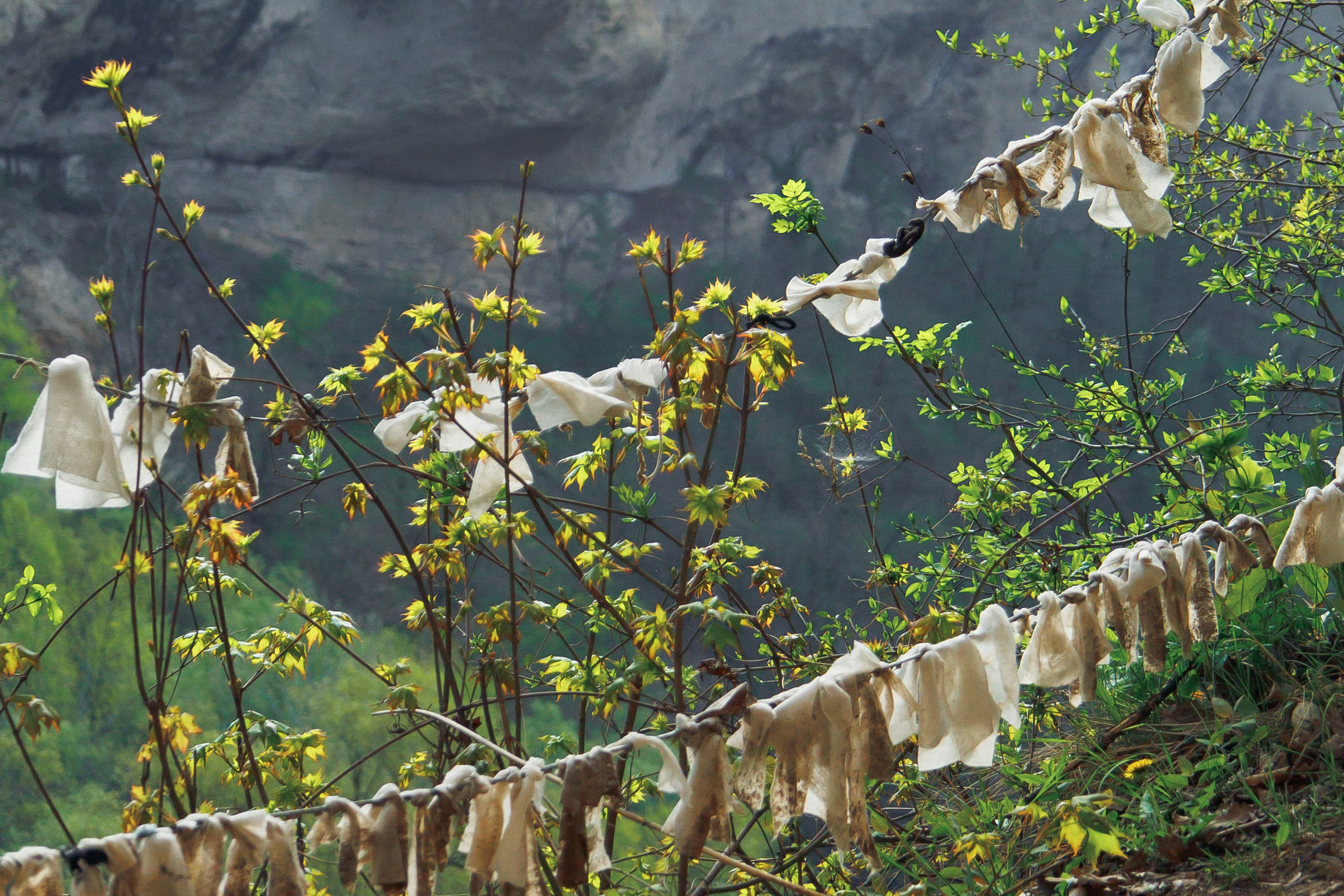 Адыгея. Водопады Руфабго 13.04.24. Фотограф katya_vkadre Таганрог